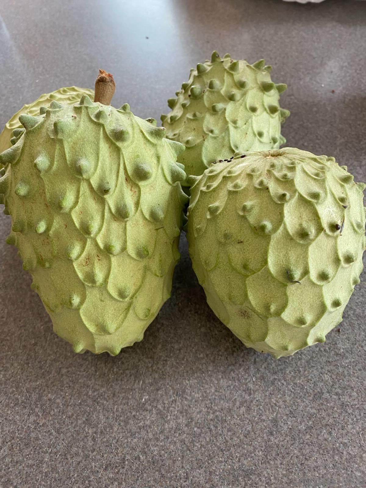 Detail Gallery Image 62 of 65 For 14302  Sandown Court, Poway,  CA 92064 - 5 Beds | 3 Baths