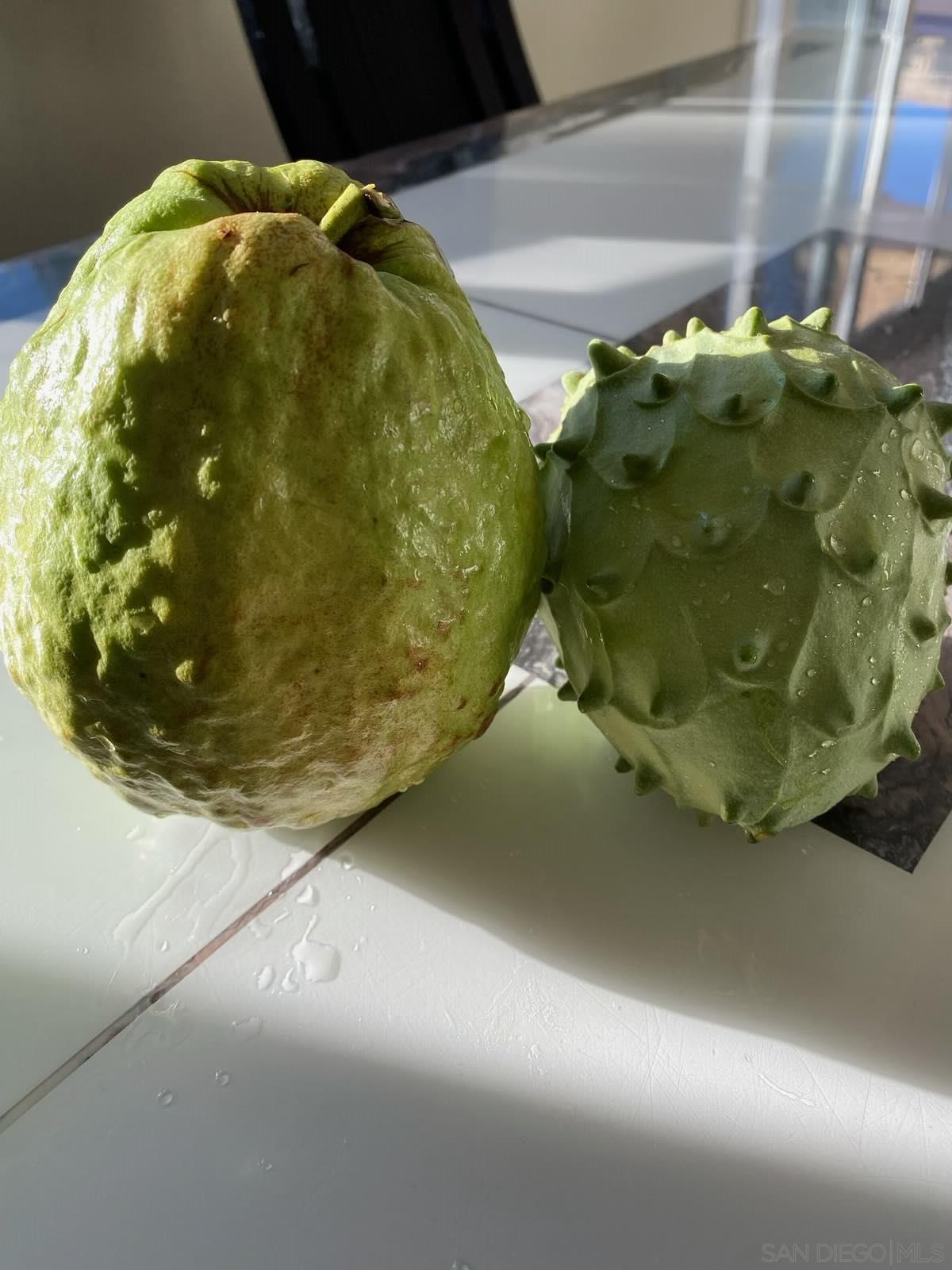 Detail Gallery Image 63 of 65 For 14302  Sandown Court, Poway,  CA 92064 - 5 Beds | 3 Baths