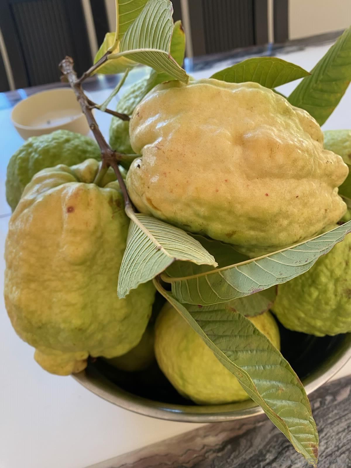 Detail Gallery Image 64 of 65 For 14302  Sandown Court, Poway,  CA 92064 - 5 Beds | 3 Baths