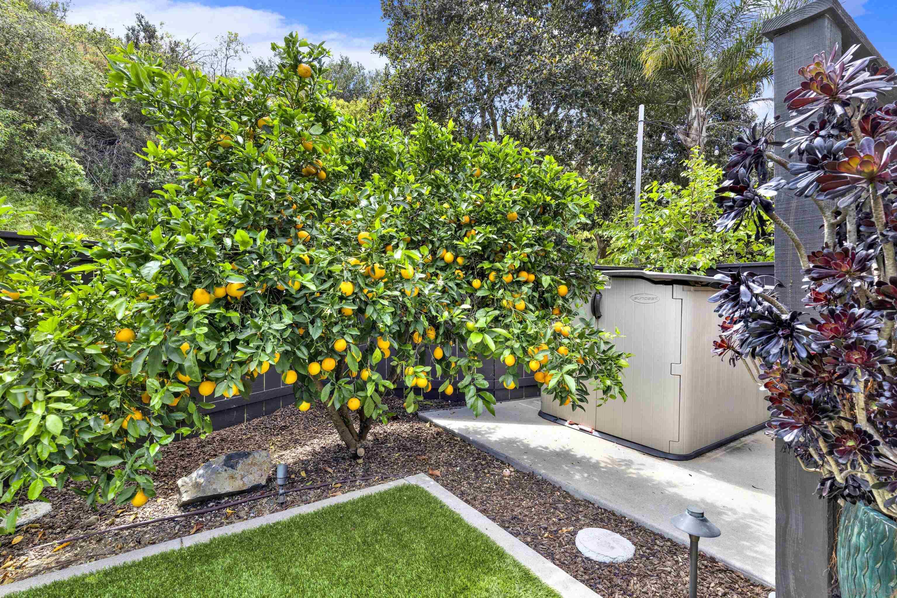 Detail Gallery Image 62 of 70 For 10961  Avenida De Los Lobos, San Diego,  CA 92127 - 4 Beds | 2/1 Baths