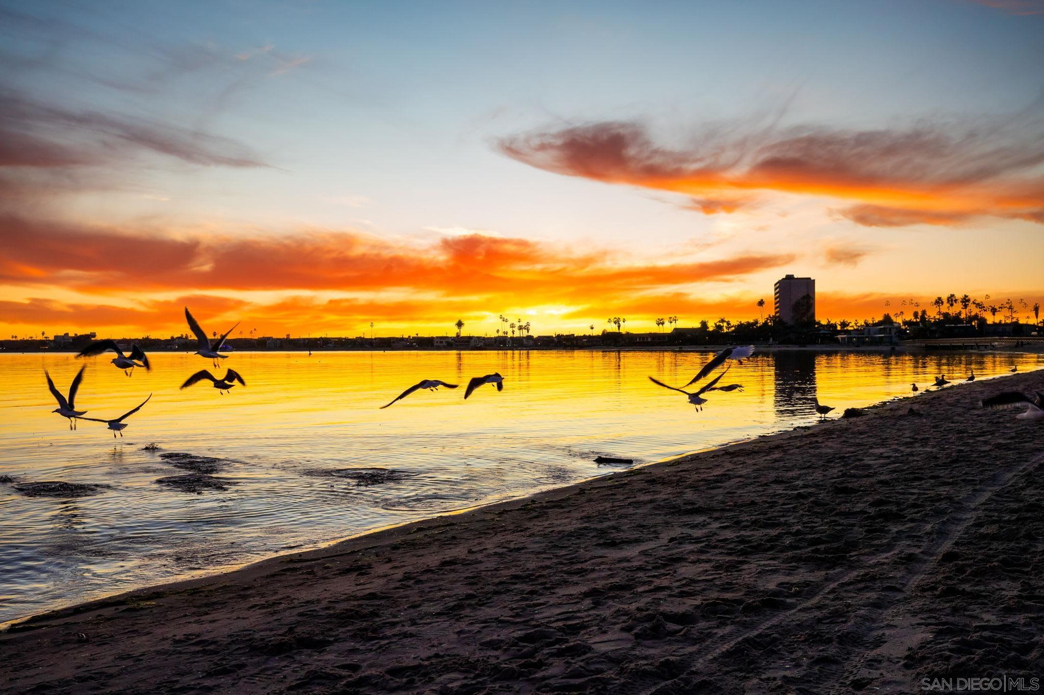 Detail Gallery Image 2 of 44 For 1221  Parker Pl  21, San Diego,  CA 92109 - 2 Beds | 3 Baths