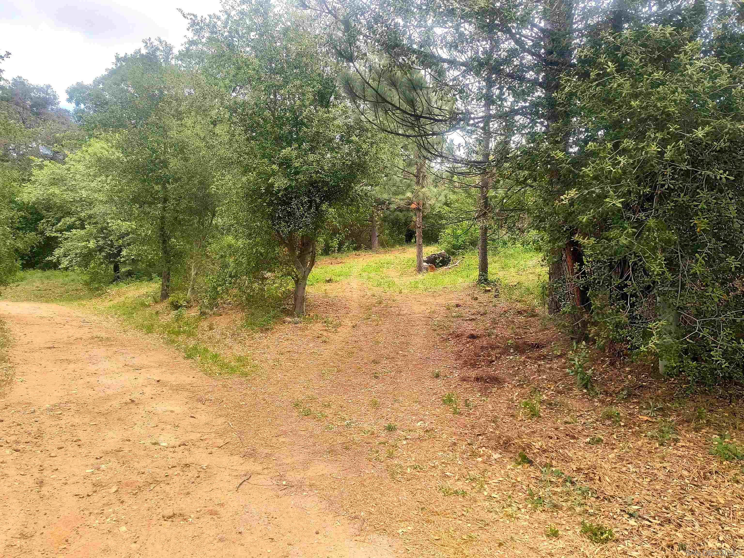 Front Image Thumbnail for SD260008858