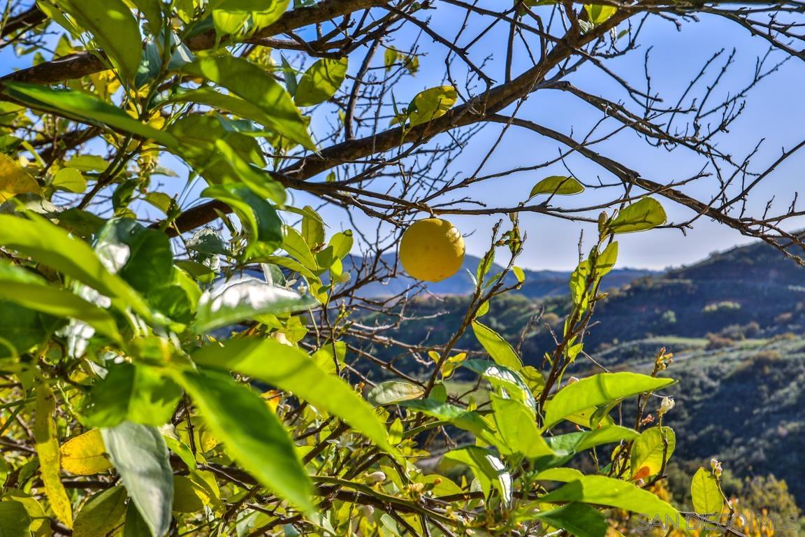 Detail Gallery Image 33 of 33 For , Temecula,  CA 92590 - – Beds | – Baths