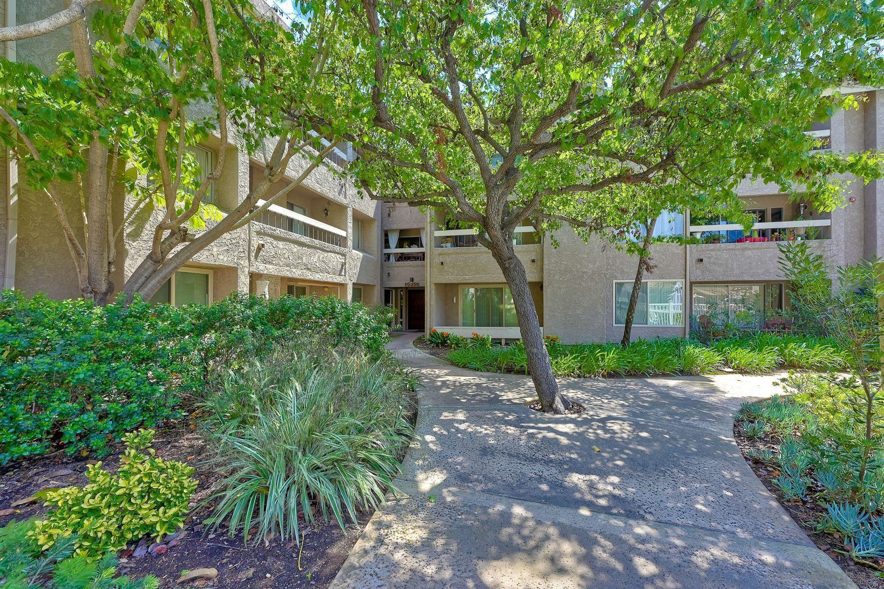 Front Image Thumbnail for SD260009509