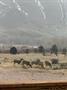 29 Mountain Meadow Rd thumbnail 28