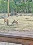 29 Mountain Meadow Rd thumbnail 30