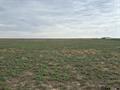 3716 Road 214 thumbnail 2