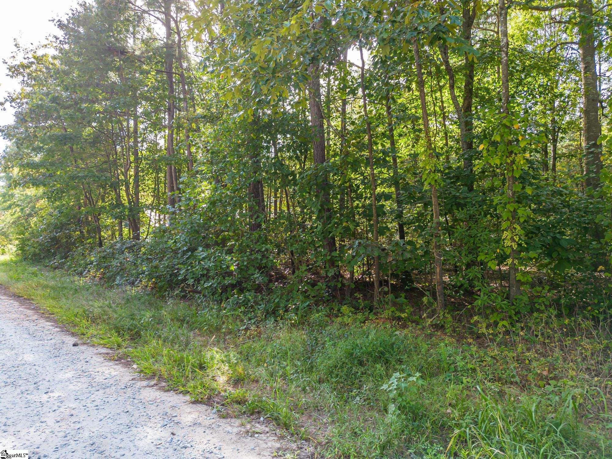 000B Riverbend Road UNIT Lot #66 Fair Play, SC 29643