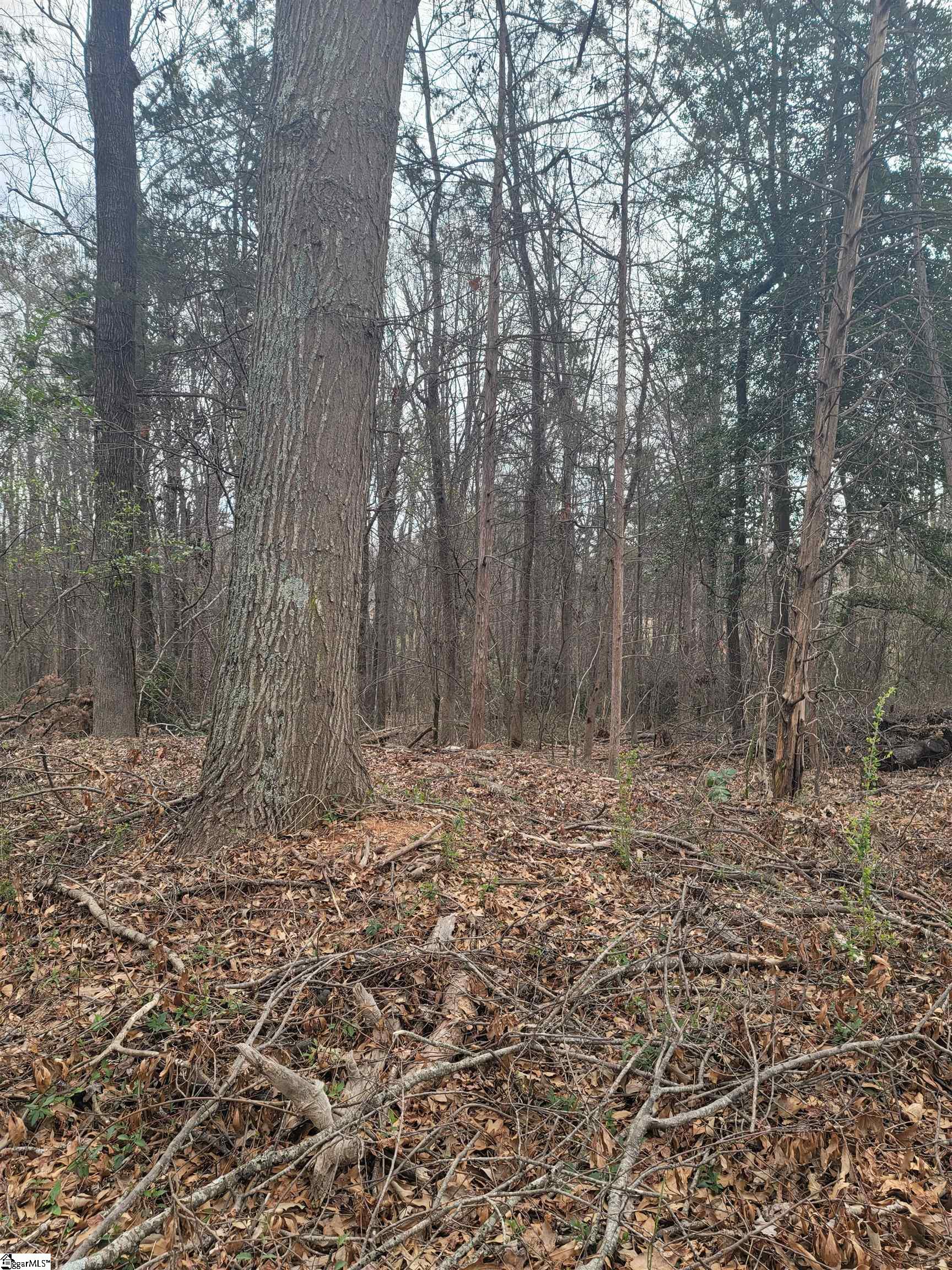 MLS #1549514 image #0