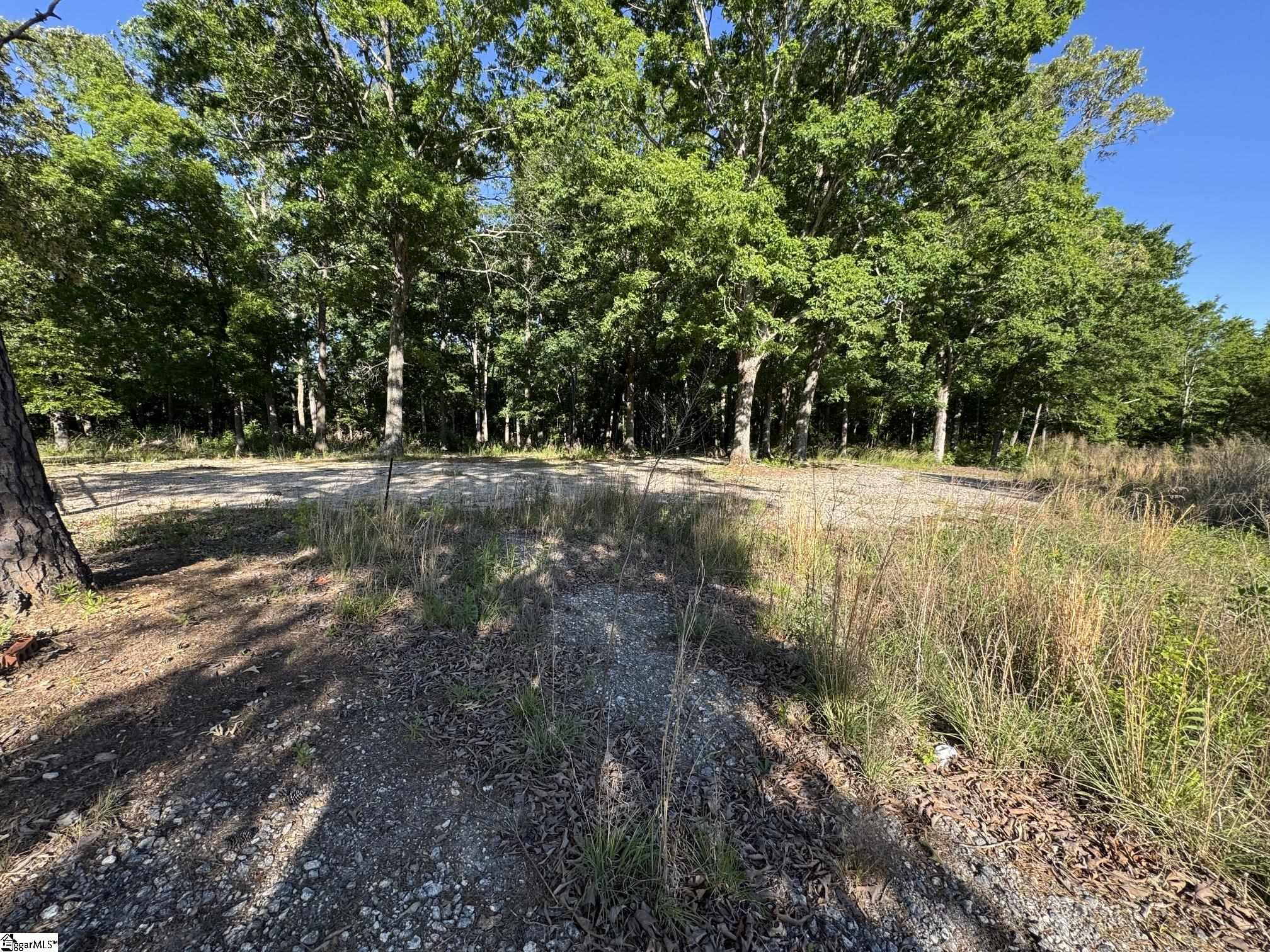3759 Highway Woodruff, SC 29388