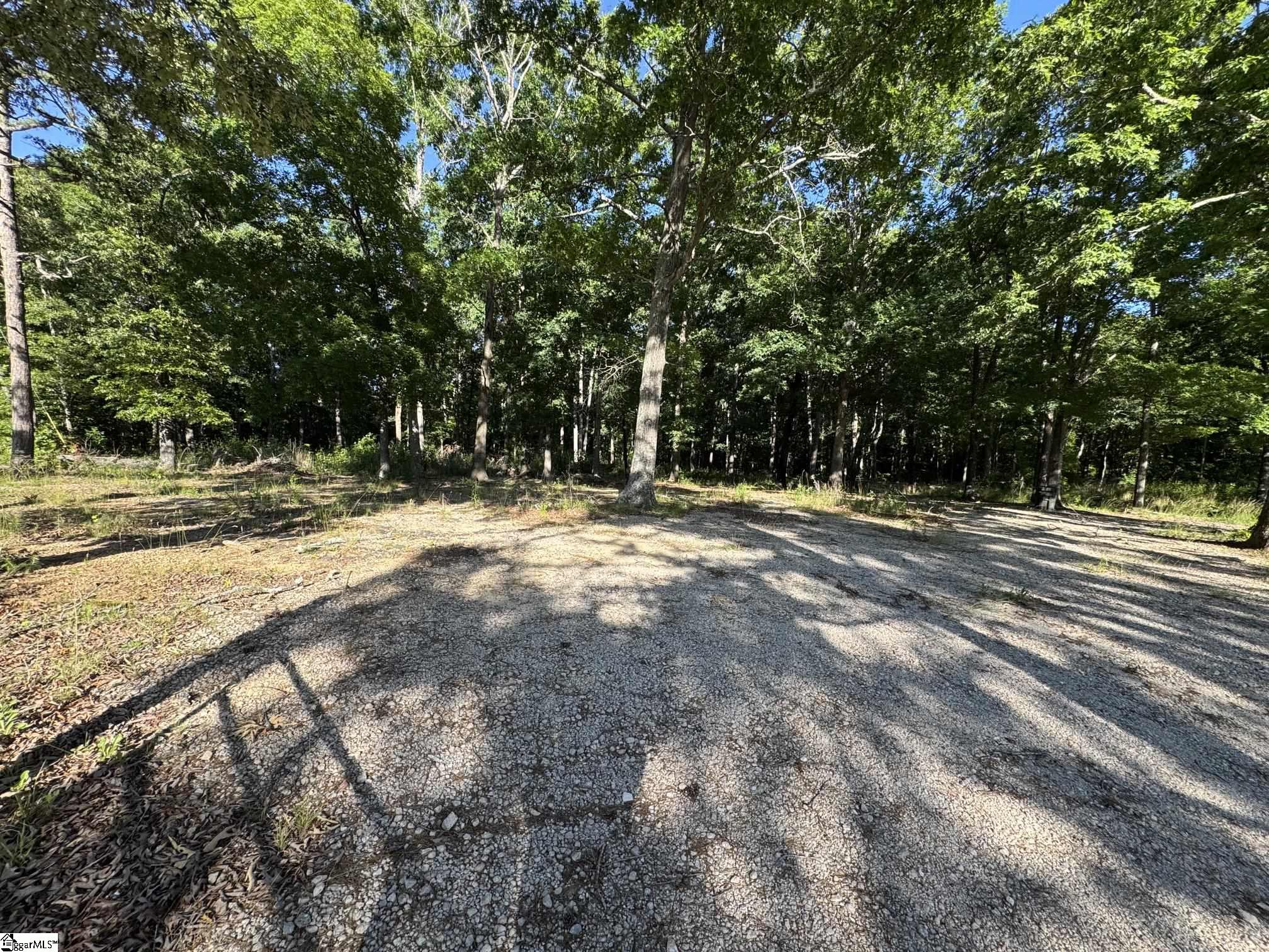 3759 Highway Woodruff, SC 29388