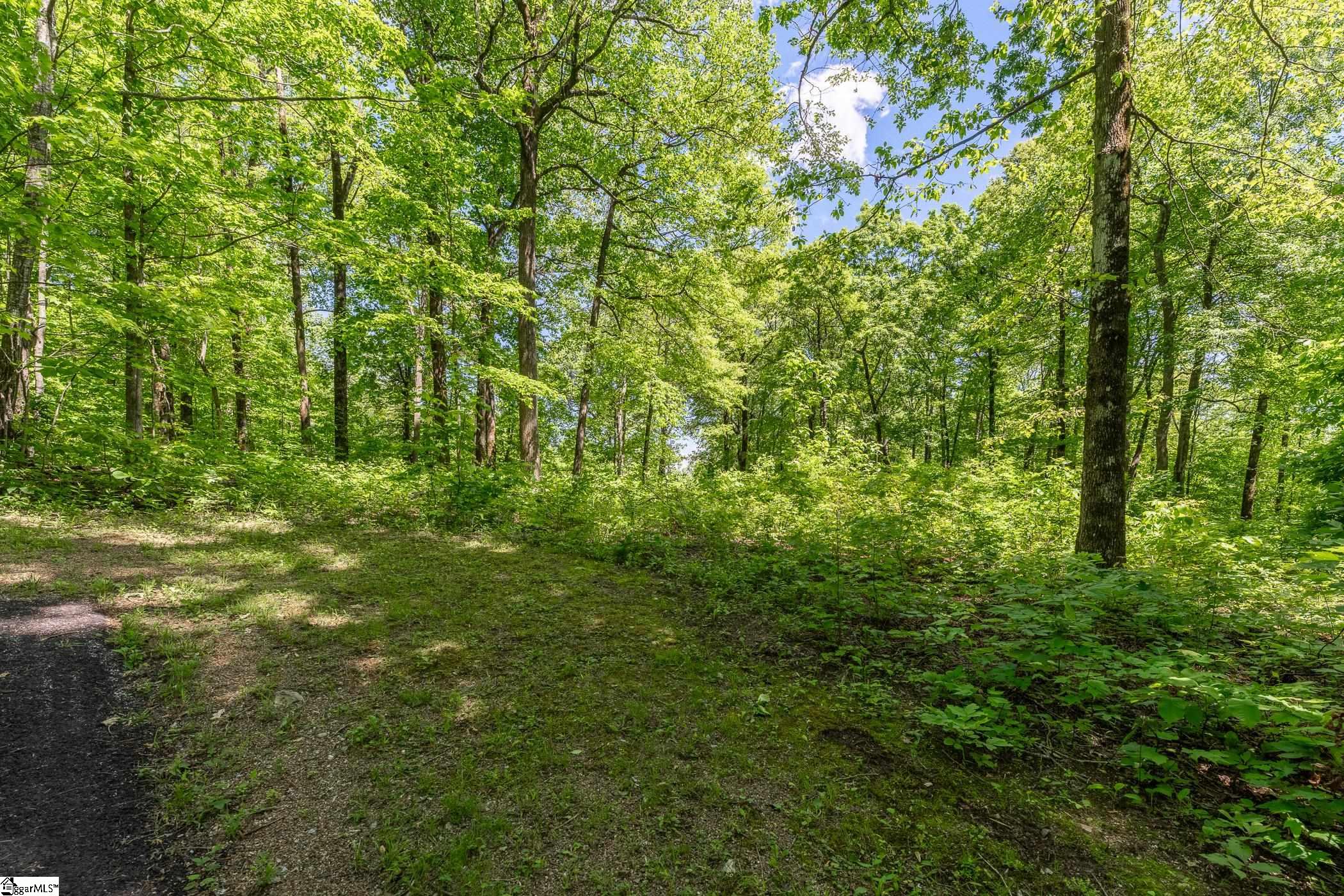 149 Lacey Fern Way photo 1