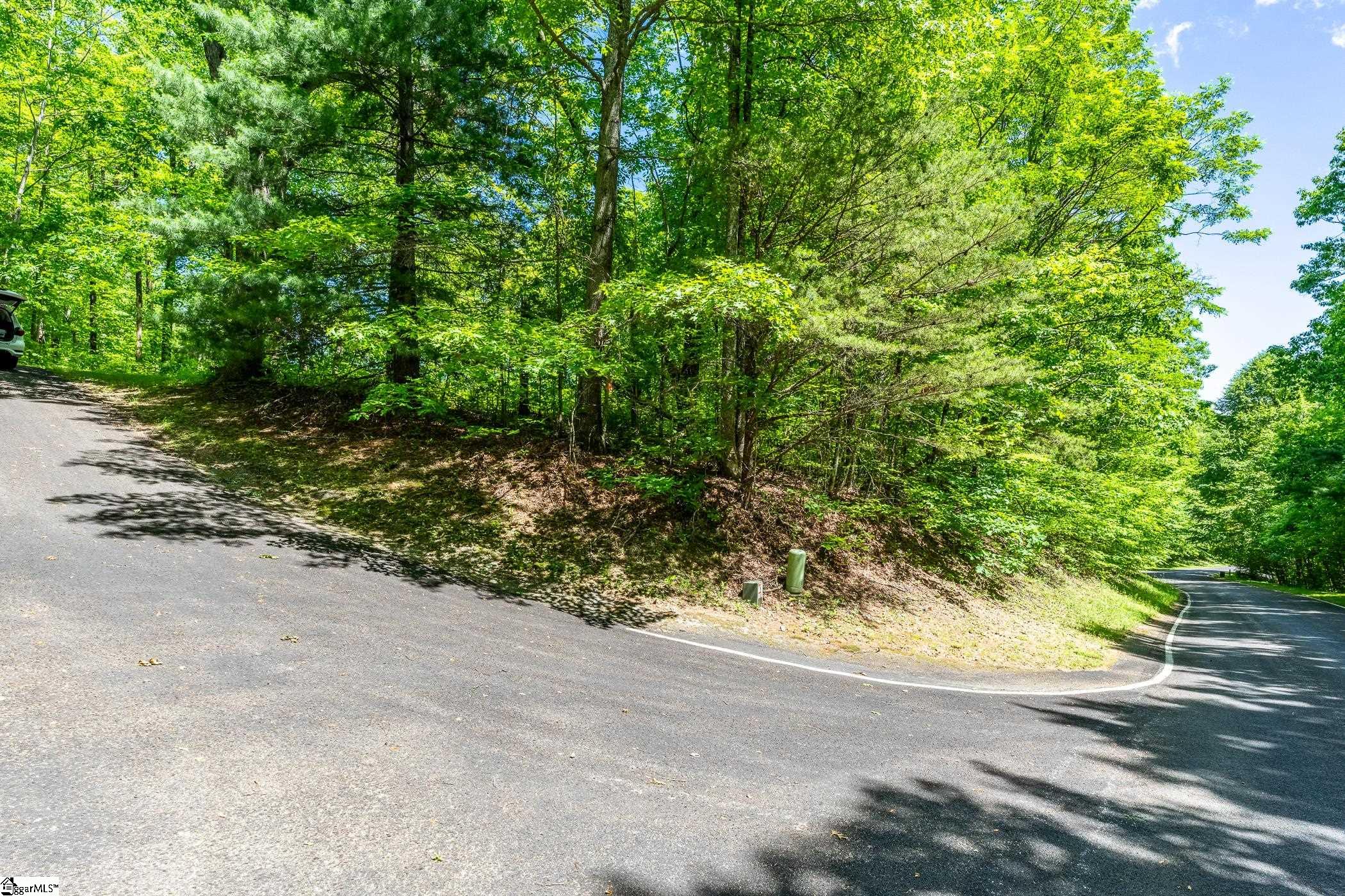 149 Lacey Fern Way photo 20