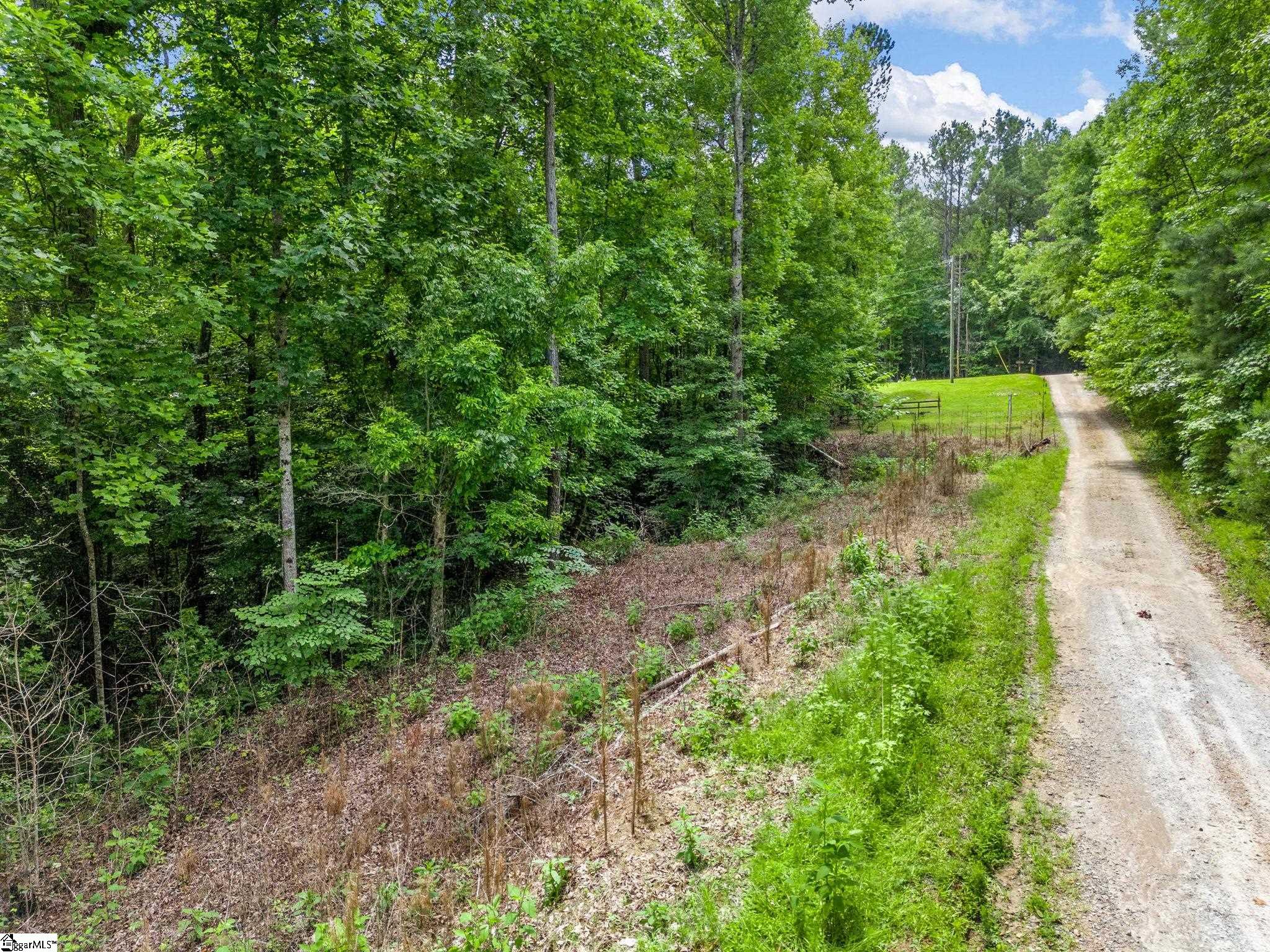 Bowater Pass Fountain Inn, SC 29644