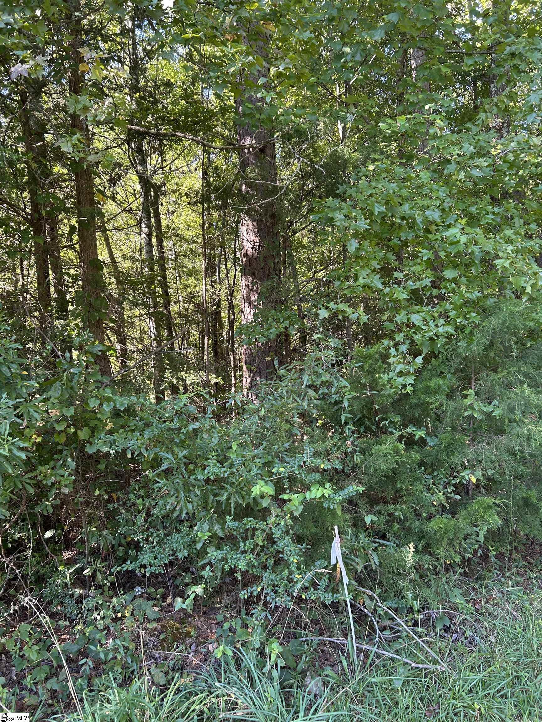 3rd image of 0 Sparkstown Dr, Enoree, SC 29335 | MLS# 1572353