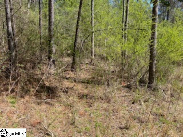 2nd image of 00 Eleanore Dr, West Union, SC 29696 | MLS# 1572645