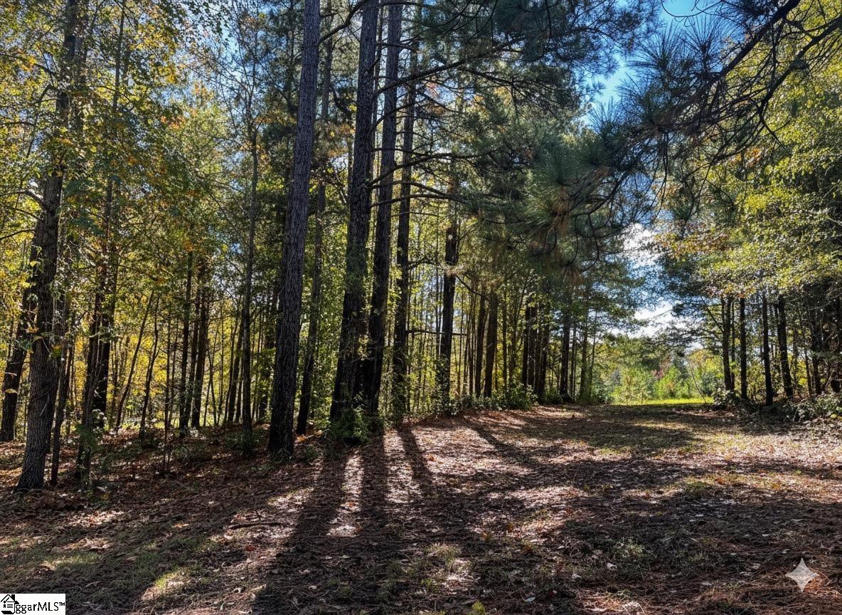 859 Cooper Bridge Road Fountain Inn, SC 29644