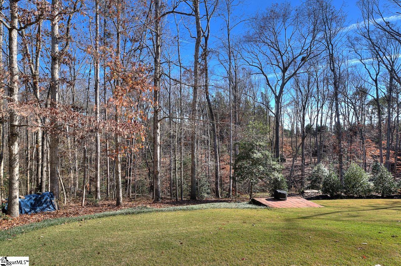 228 Goldenstar Lane photo 23