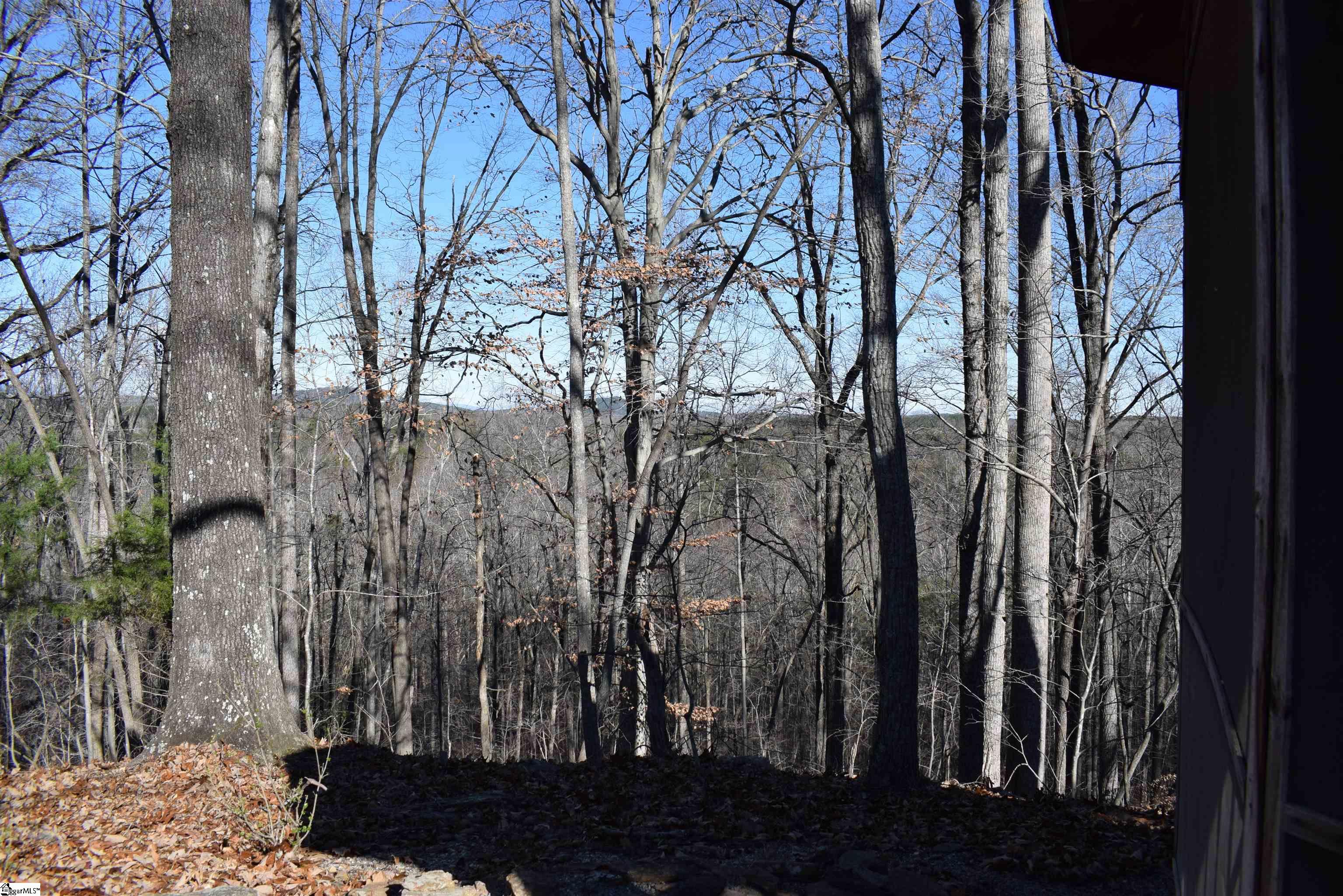 228 Wildwood Lane photo 40