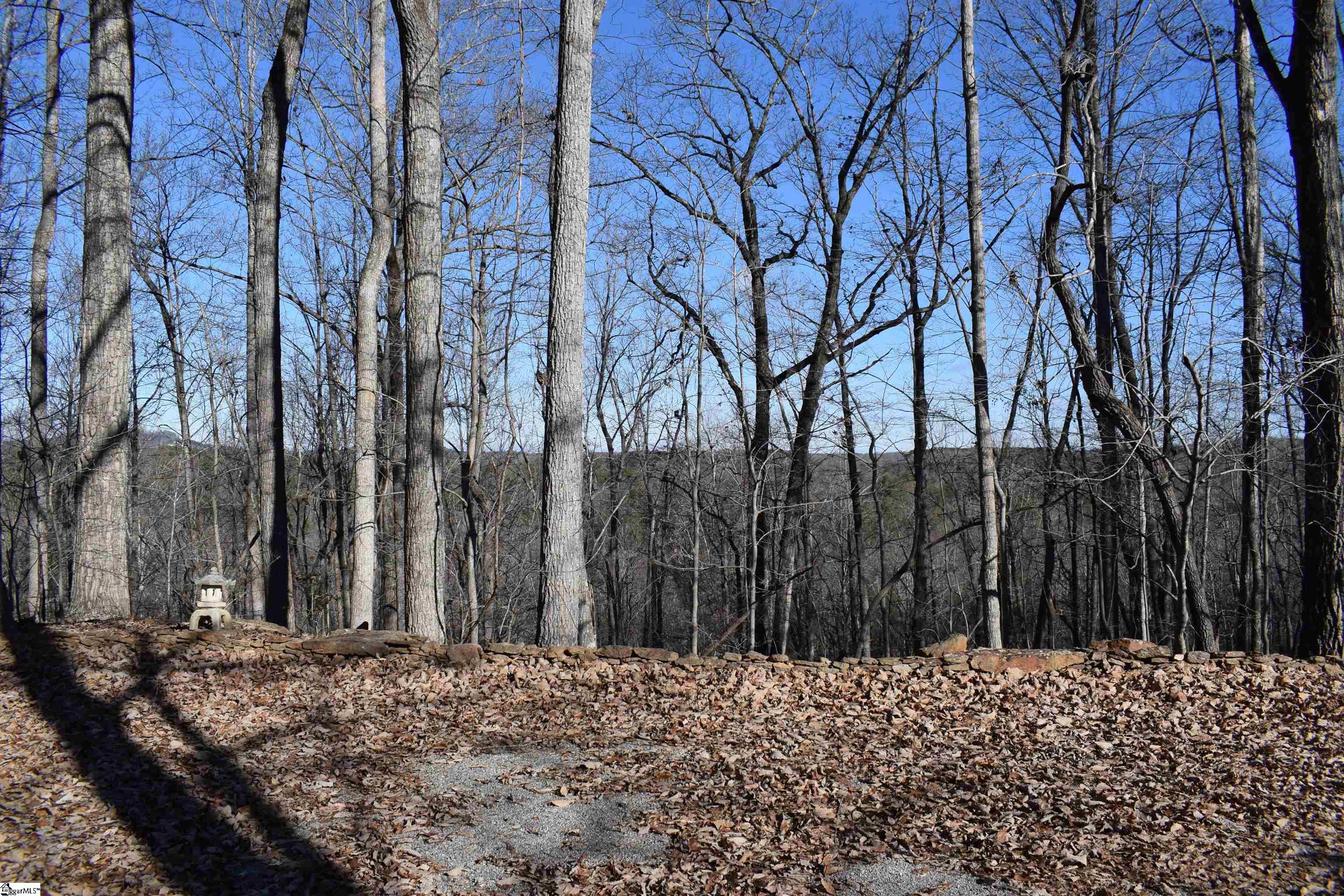 228 Wildwood Lane photo 49