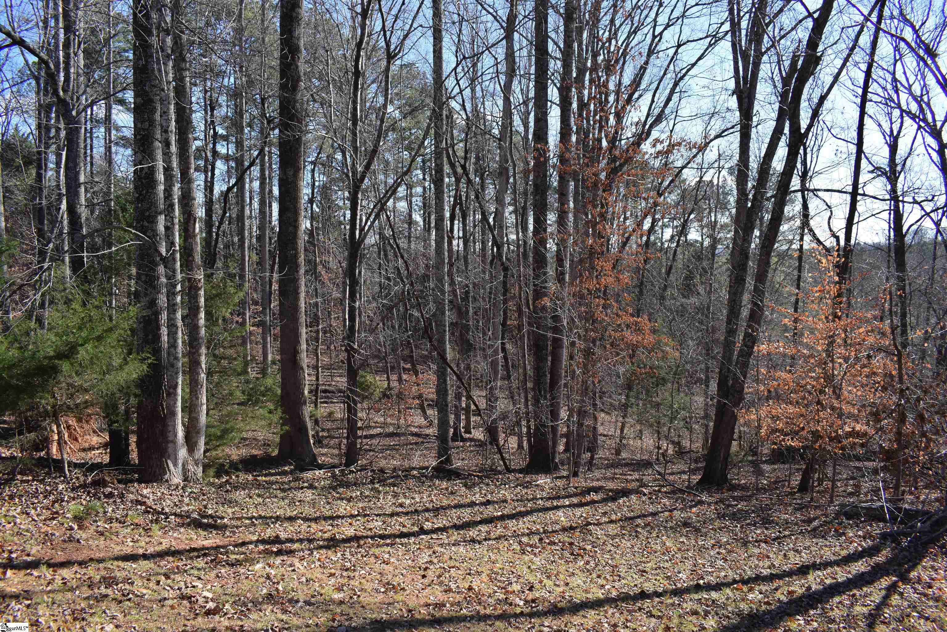 228 Wildwood Lane photo 50