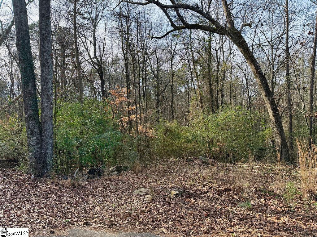 154 Dogwood Road Townville, SC 29689