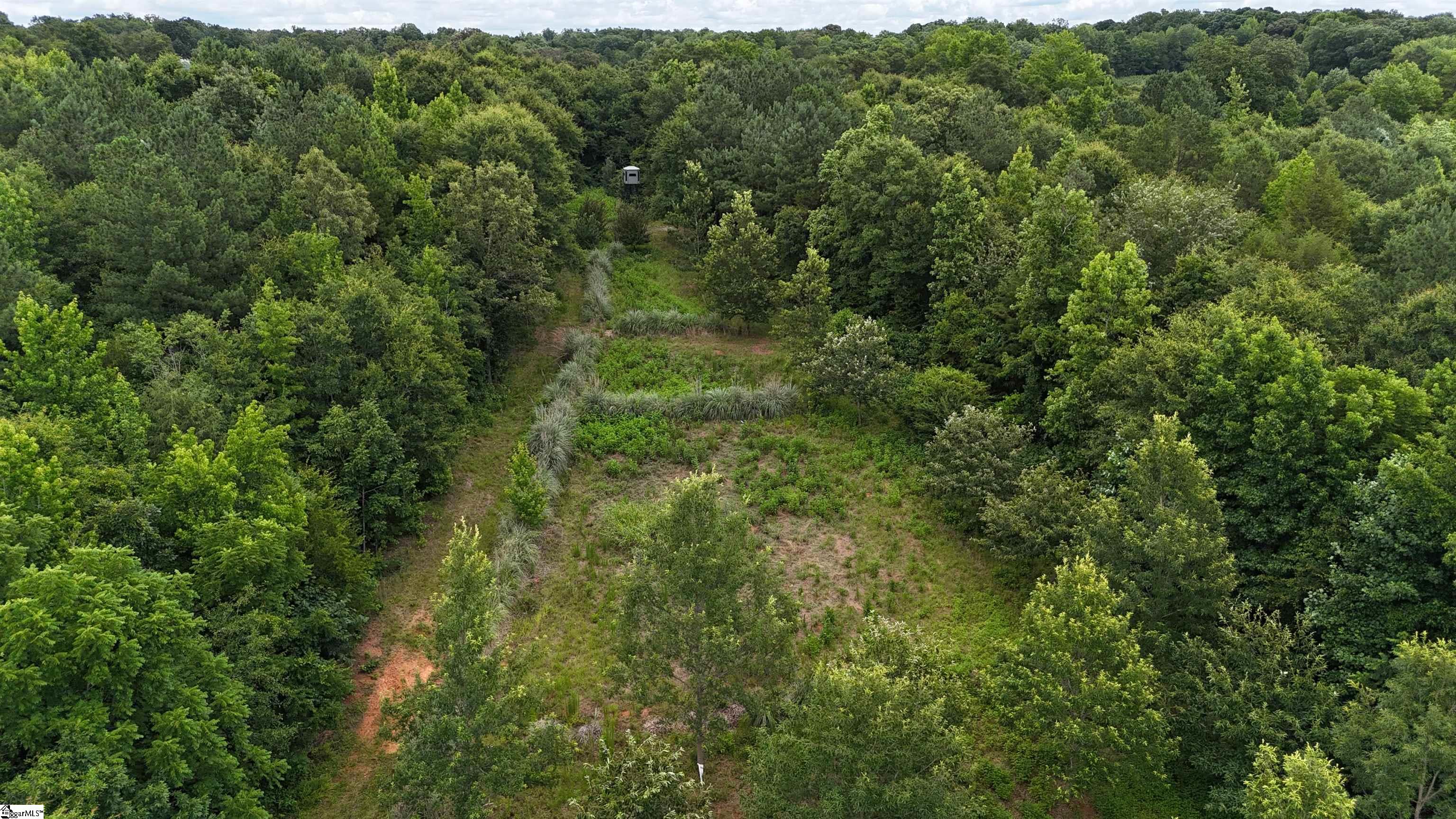 1425 S Harper Street Laurens, SC 29360