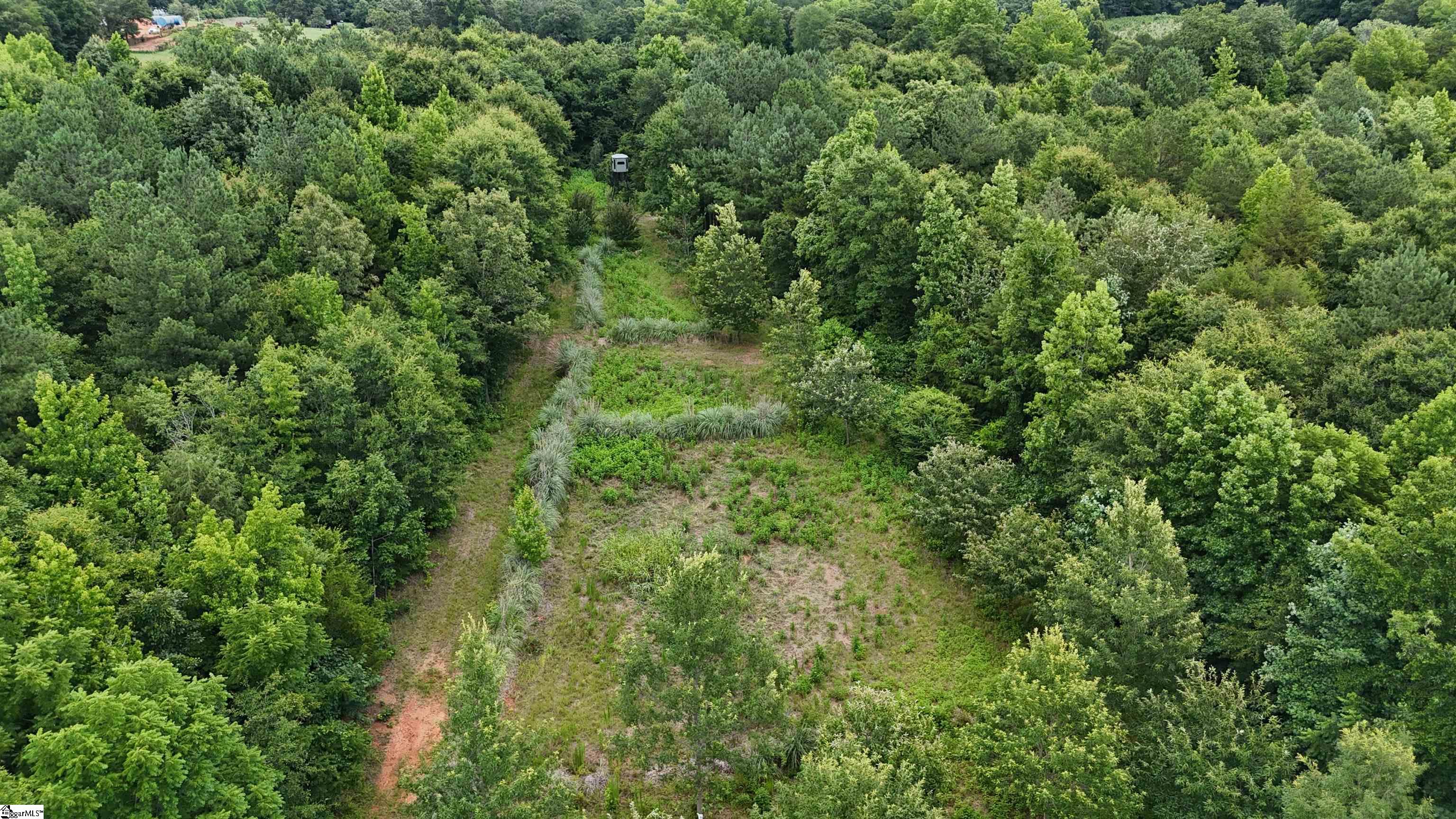 1425 S Harper Street Laurens, SC 29360