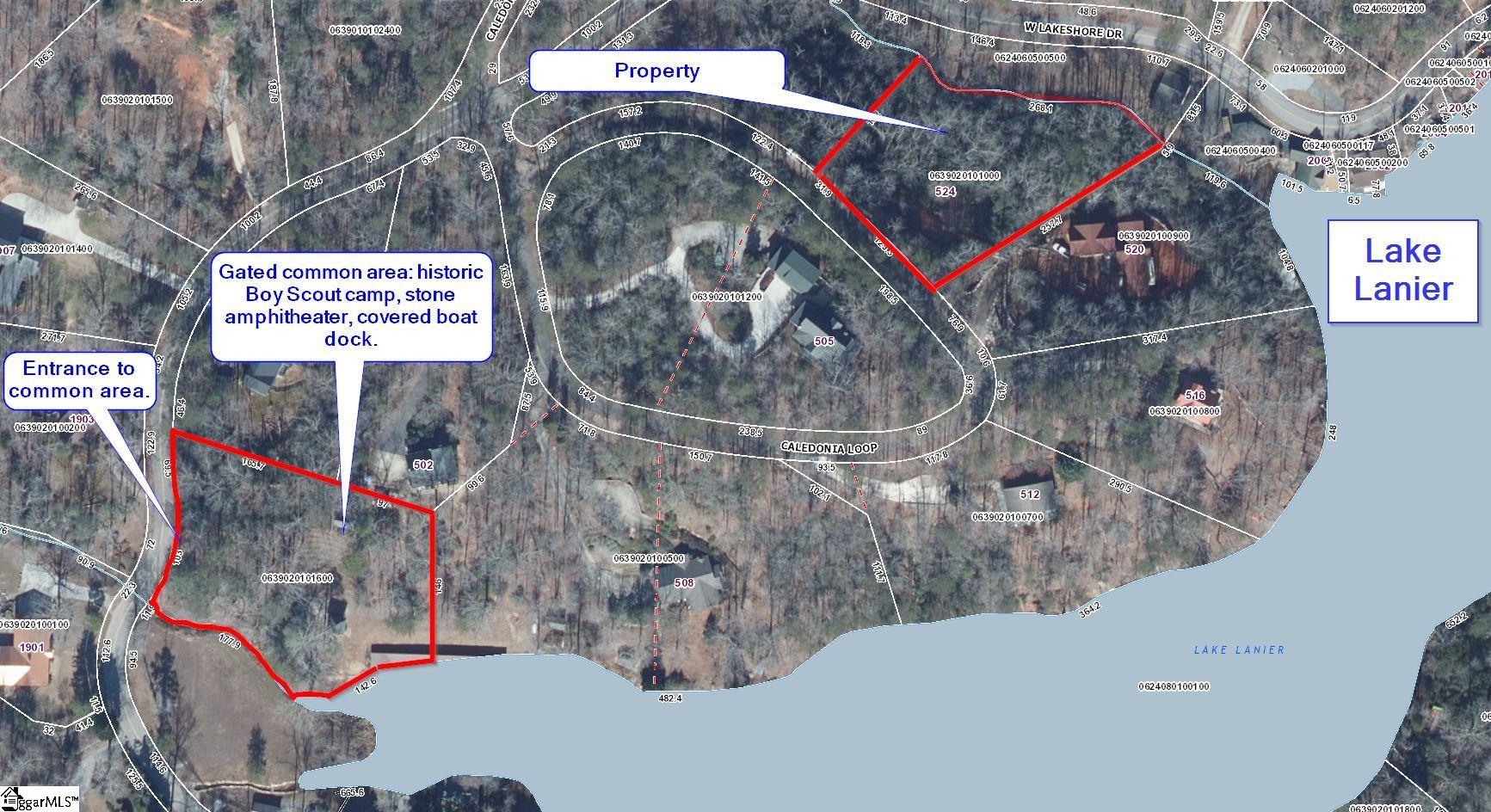 Homes for sale in Landrum, SC | 524 Caledonia Loop, Landrum, SC 29356 | MLS# 1579654