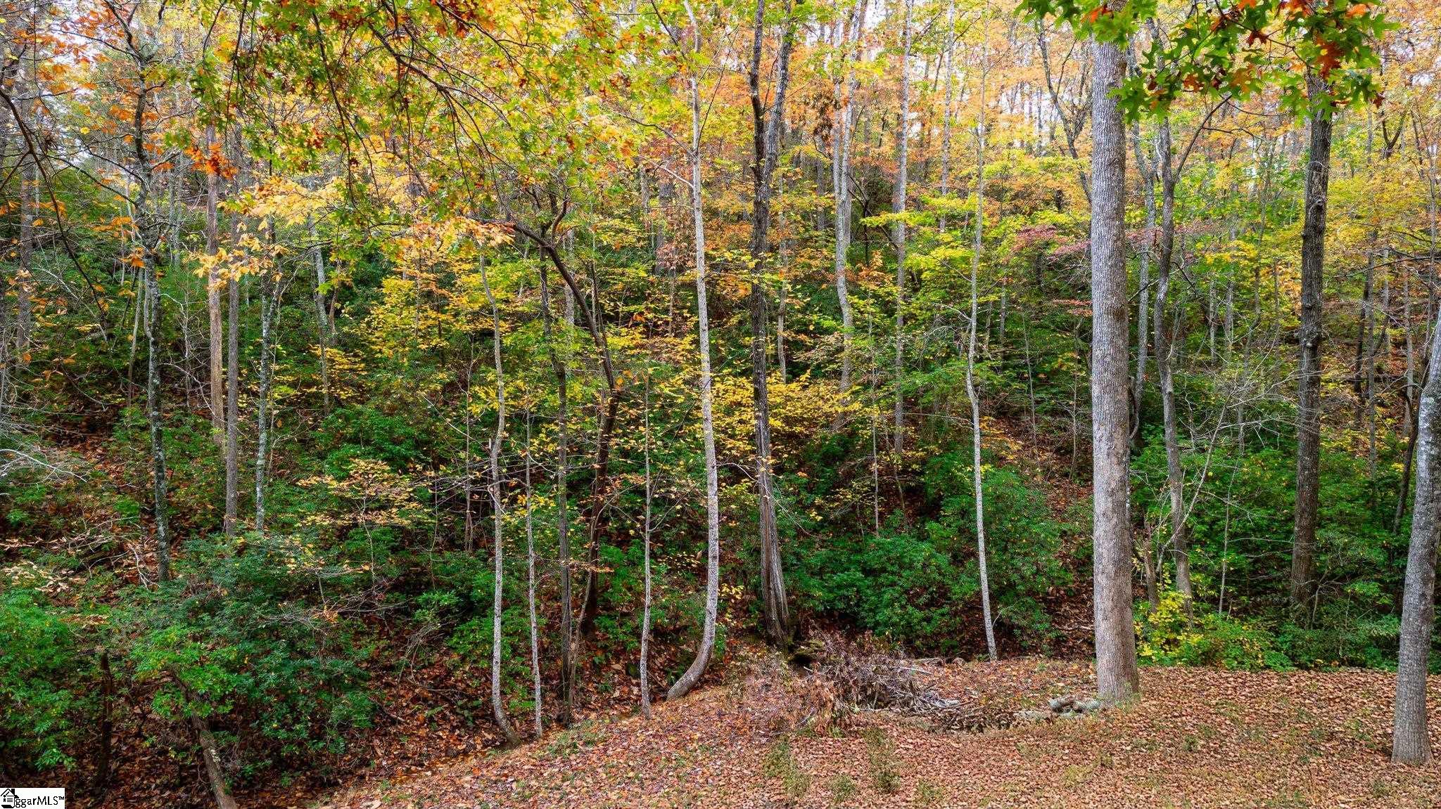 Homes for sale in Landrum, SC | 524 Caledonia Loop, Landrum, SC 29356 | MLS# 1579654