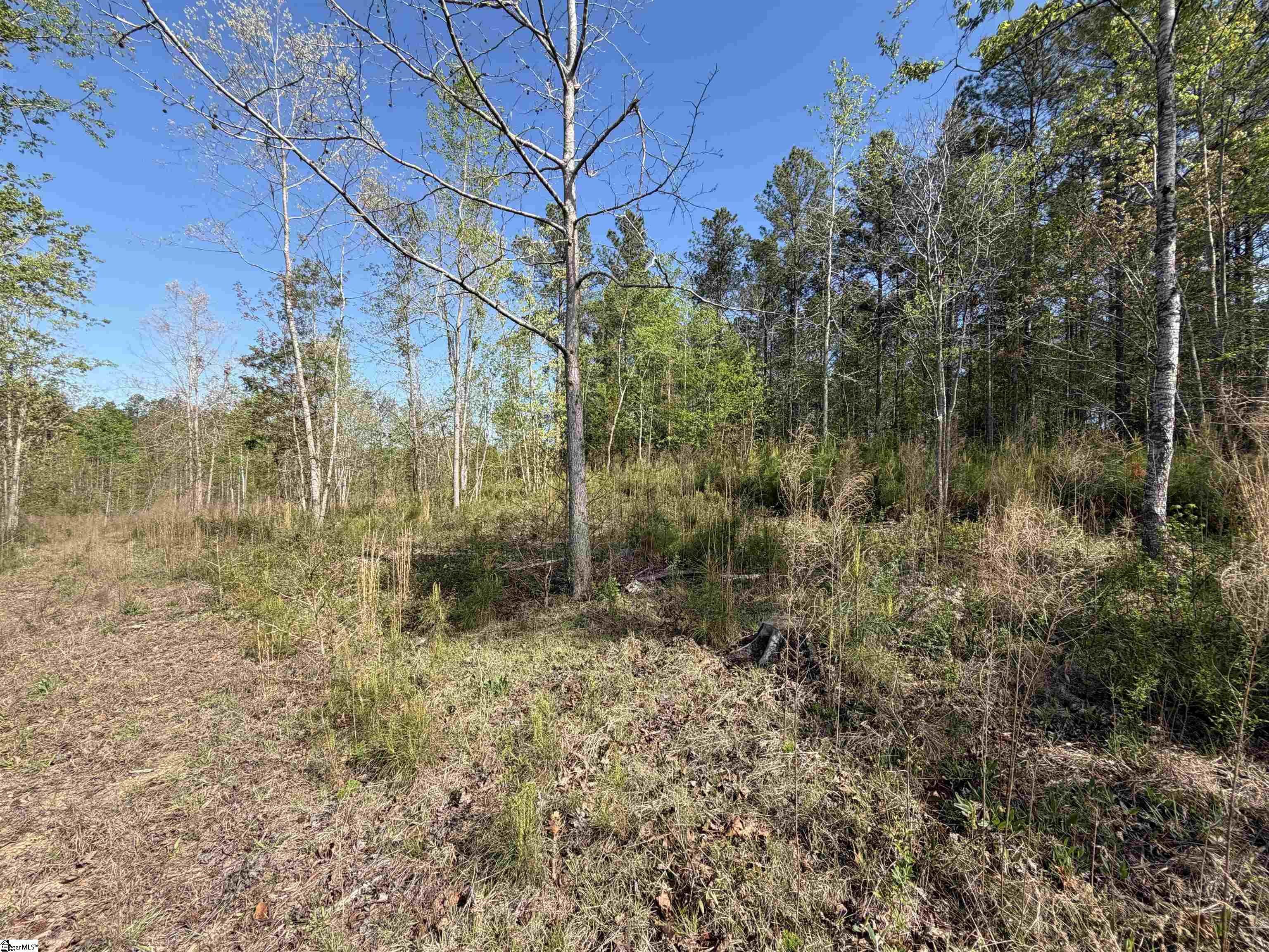 2125 Hwy 247 Belton, SC 29627