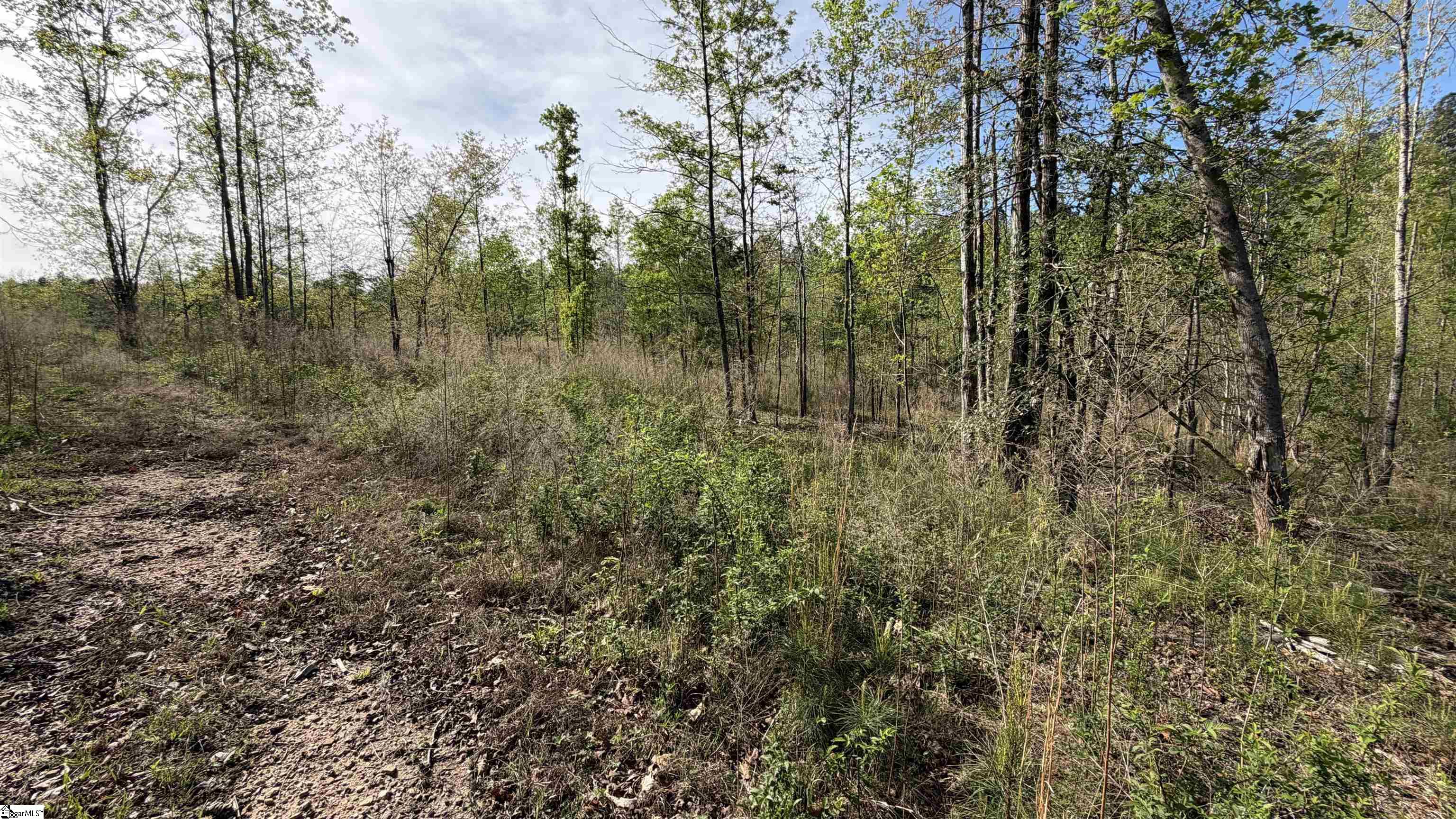 2125 Hwy 247 Belton, SC 29627