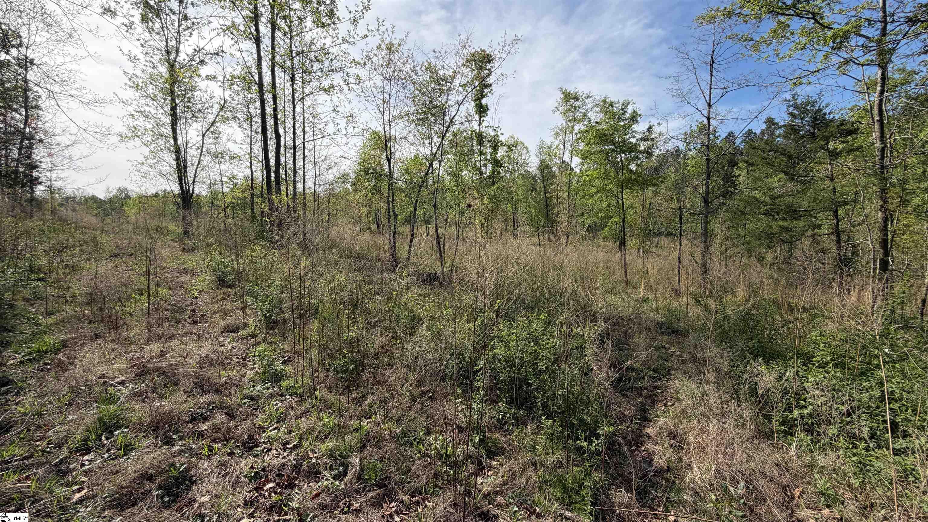 2125 Hwy 247 Belton, SC 29627
