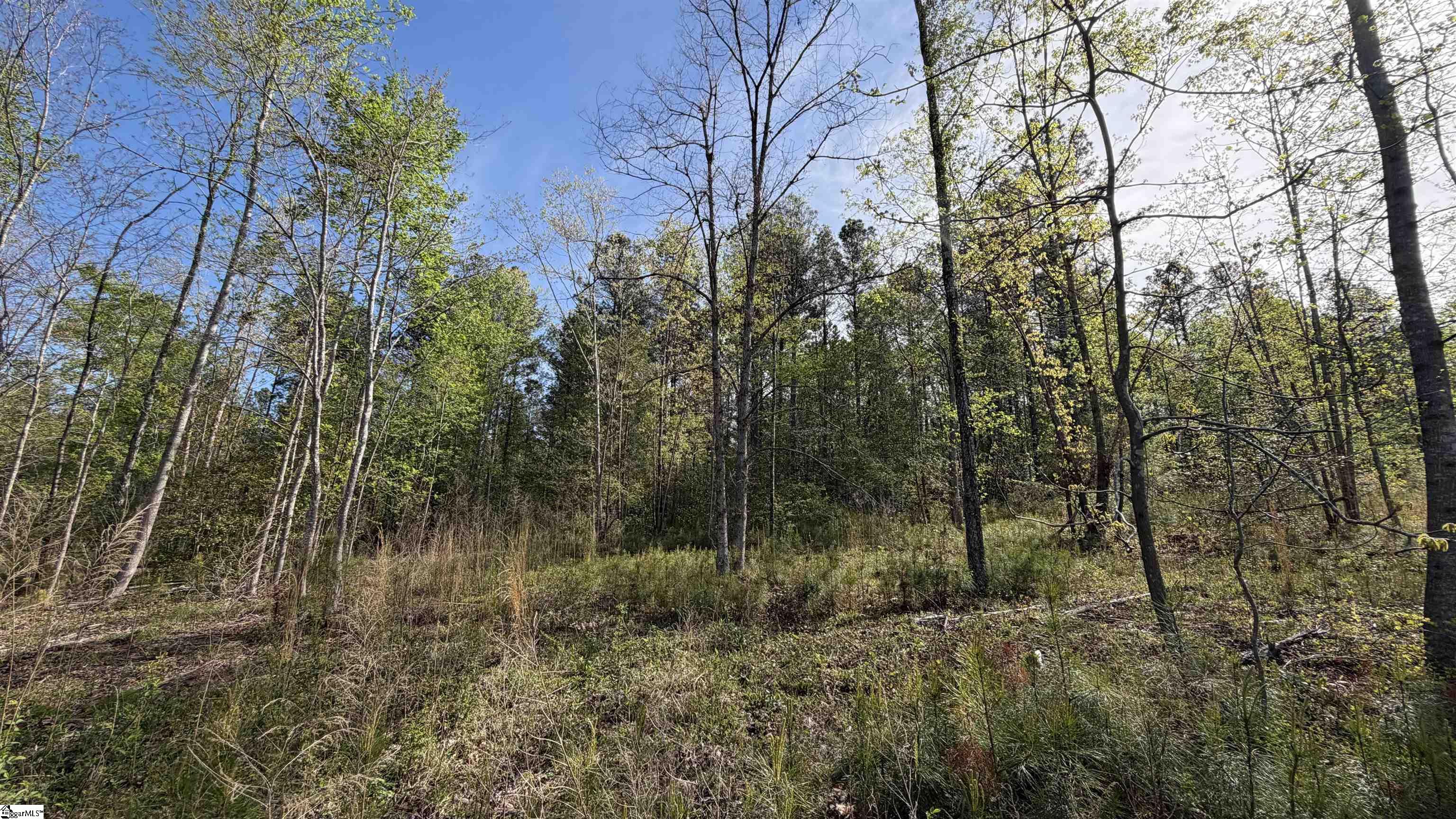 2125 Hwy 247 Belton, SC 29627