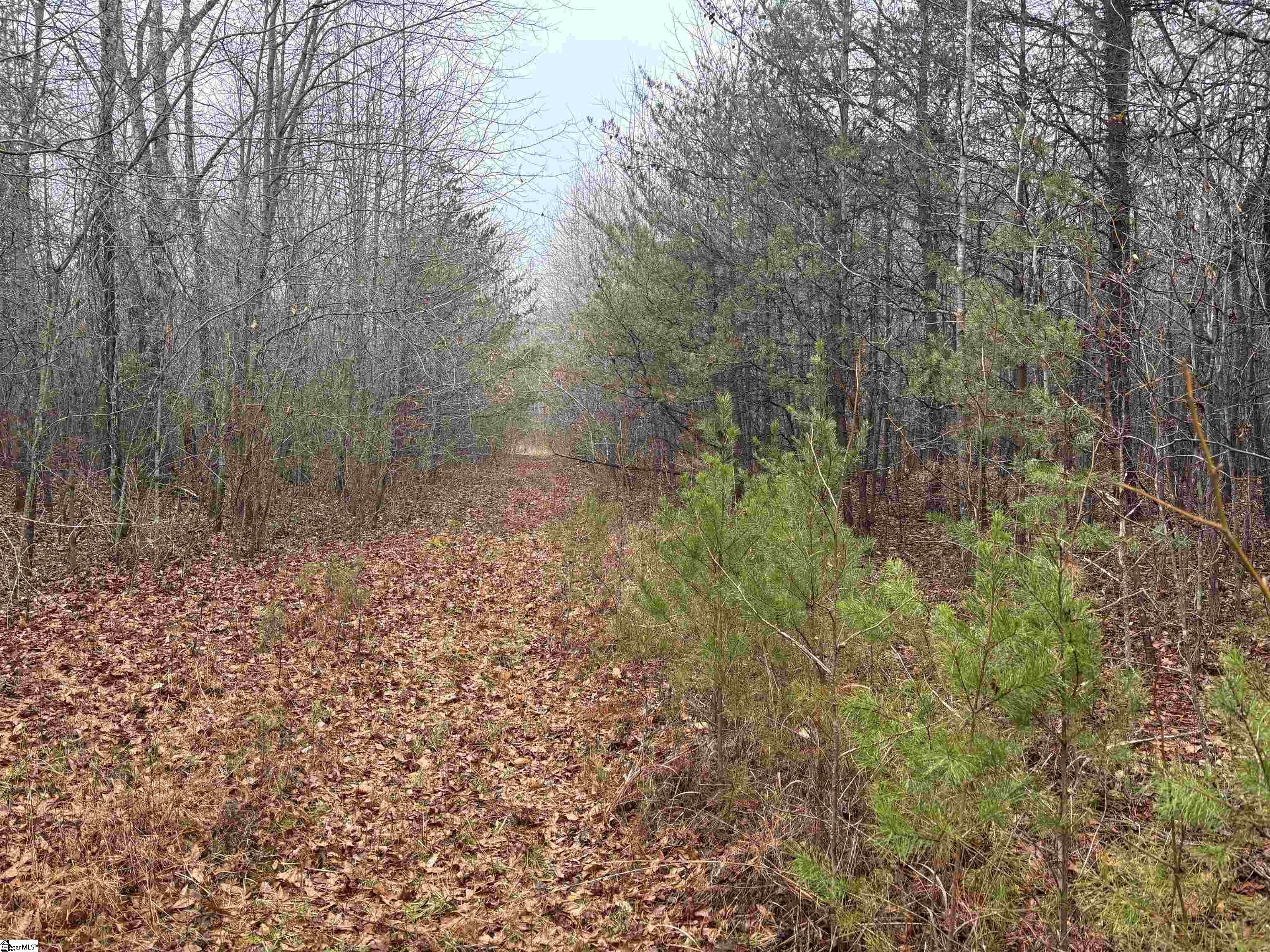 4024 Hwy 414 (Acreage, Not House)