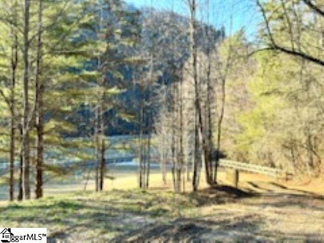 Green River Road Zirconia, NC 28790
