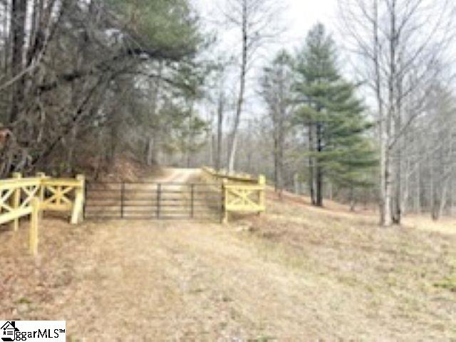 Green River Road Zirconia, NC 28790