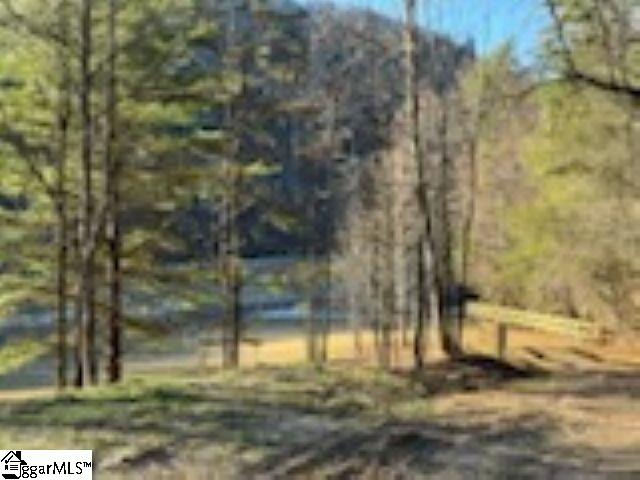 Green River Road Zirconia, NC 28790