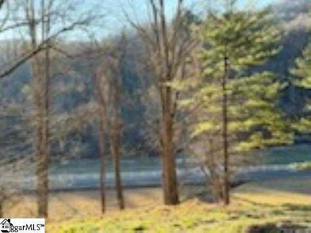 Green River Road Zirconia, NC 28790
