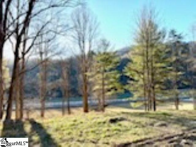 Green River Road Zirconia, NC 28790