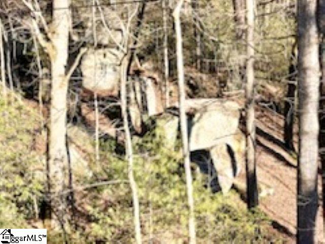 Green River Road Zirconia, NC 28790
