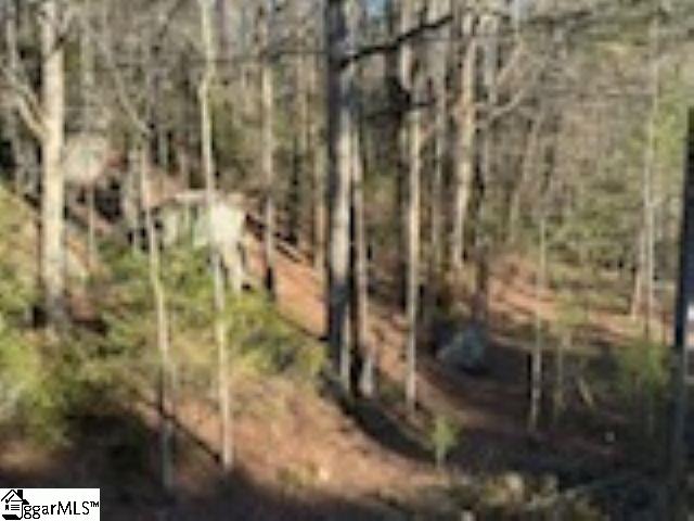 Green River Road Zirconia, NC 28790