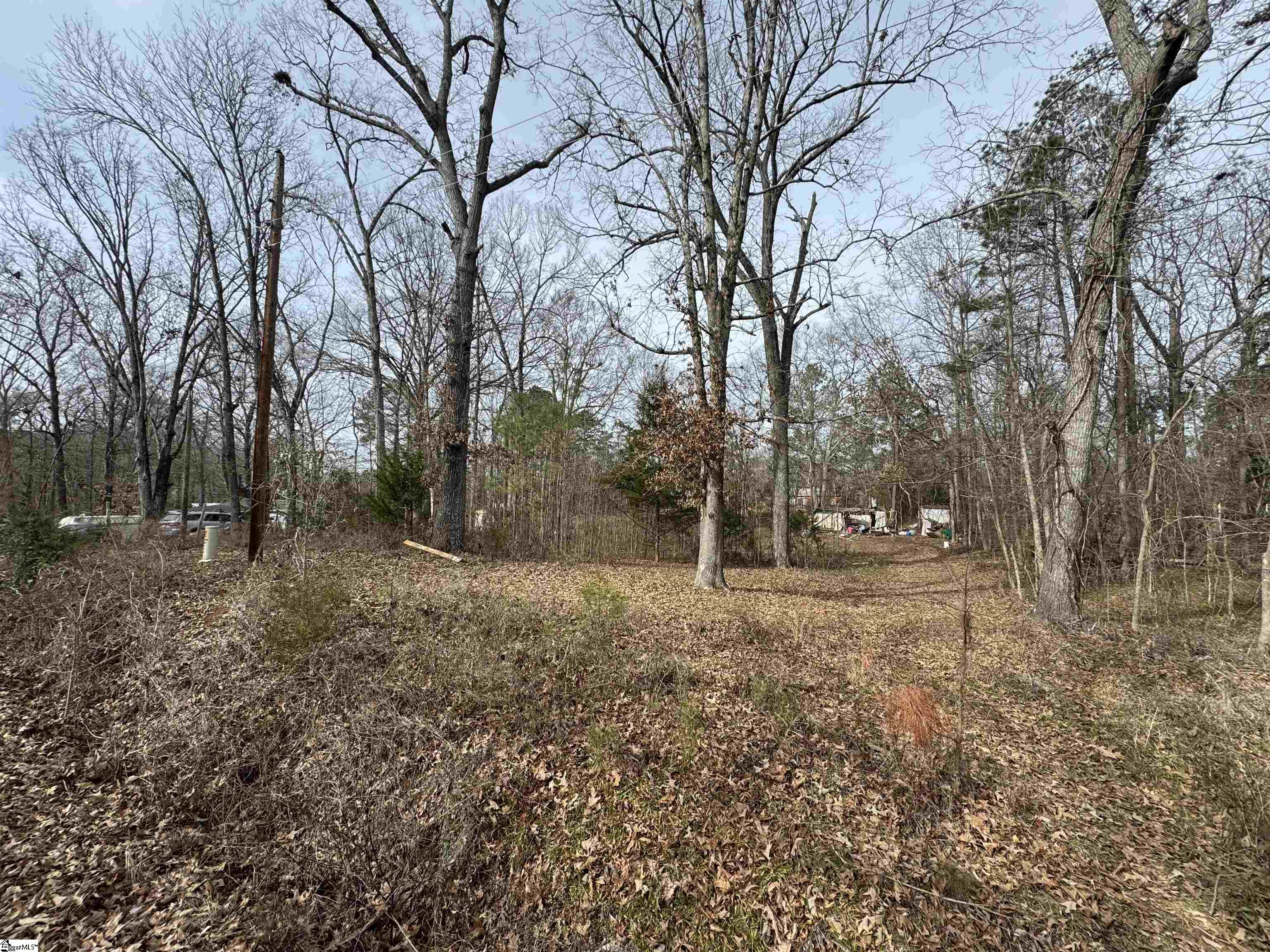 Homes for sale in Waterloo, SC | 148 Douglas Rd, Waterloo, SC 29384 | MLS# 1580417