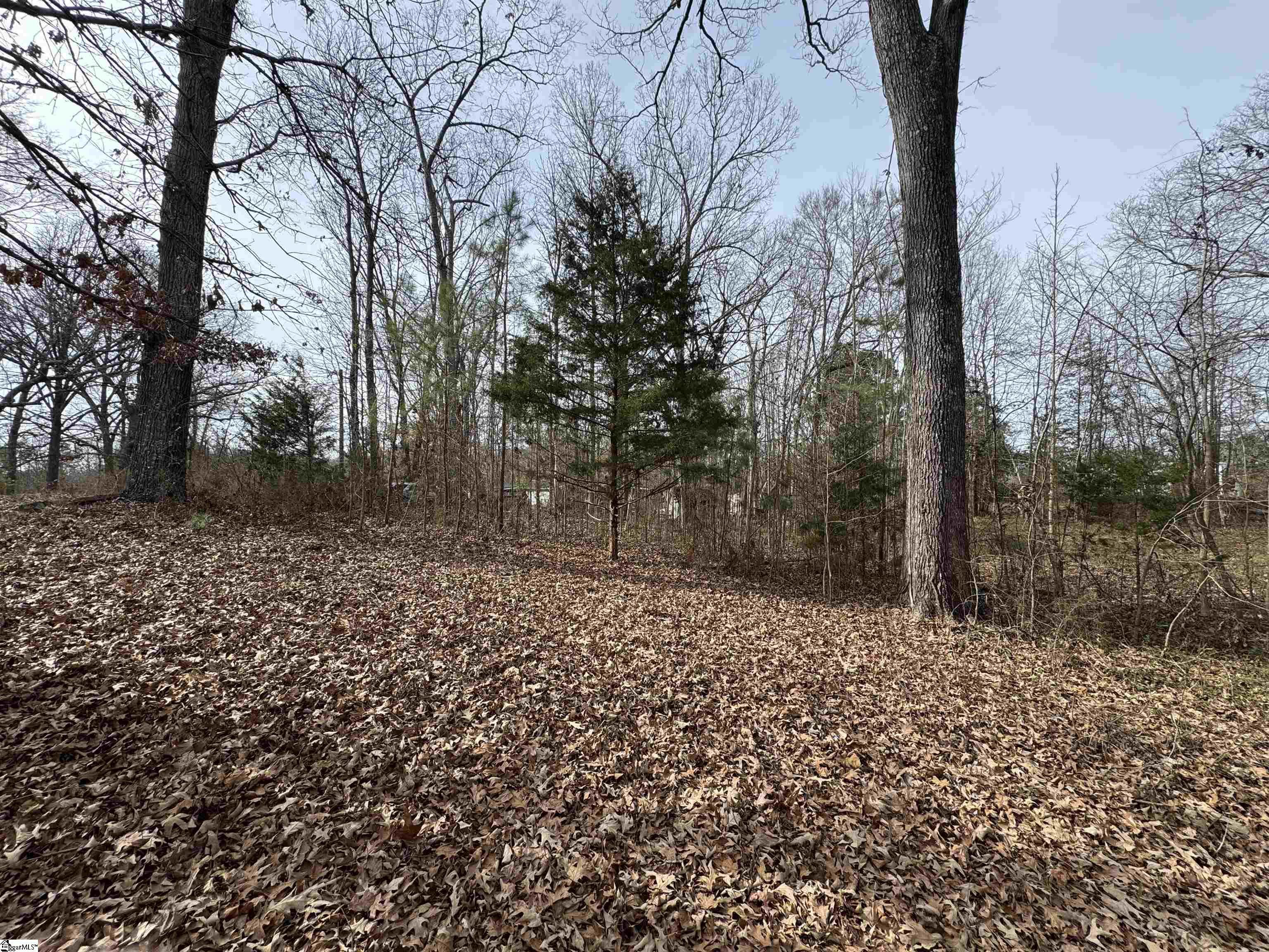 Homes for sale in Waterloo, SC | 148 Douglas Rd, Waterloo, SC 29384 | MLS# 1580417