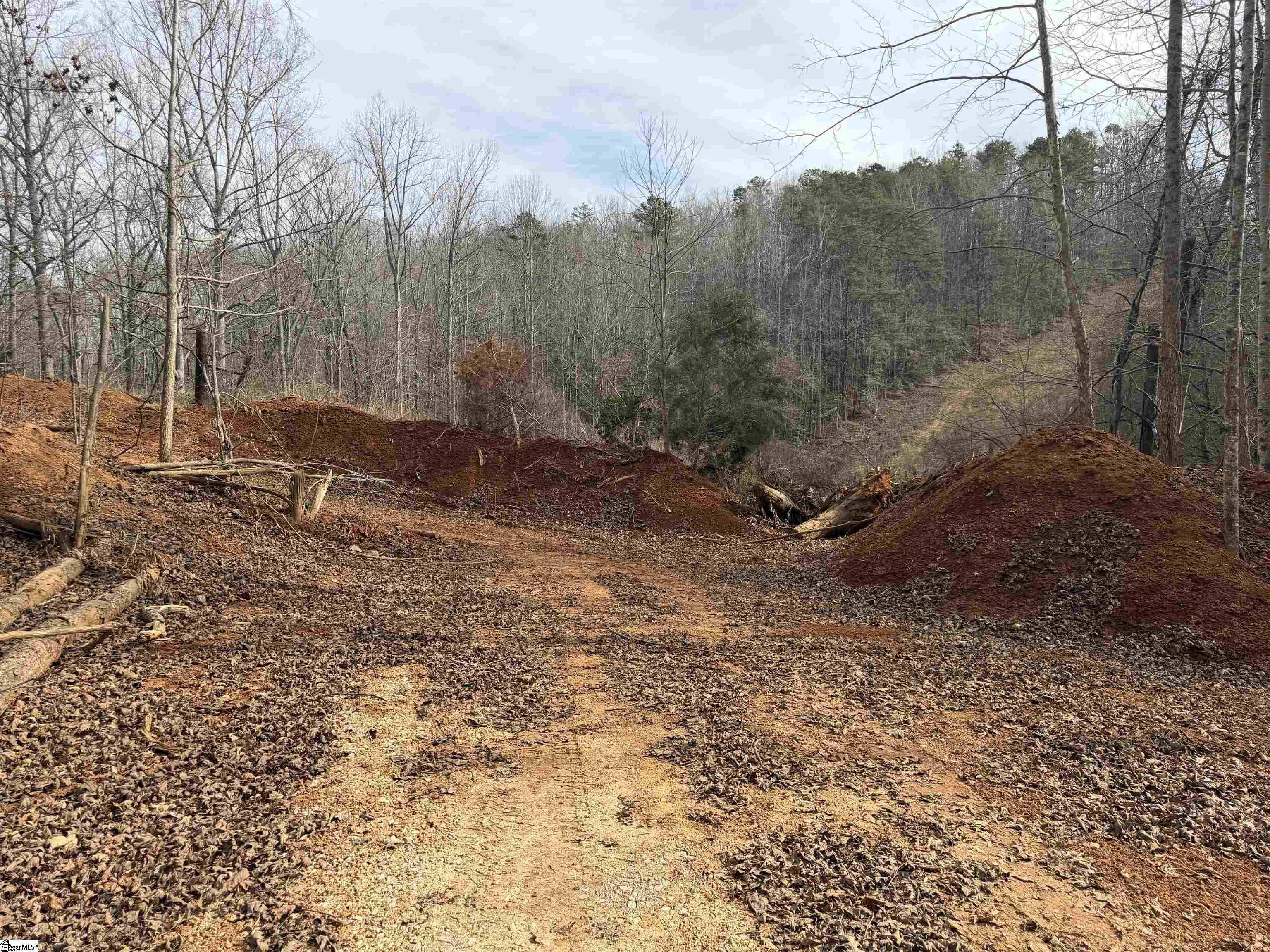 110 Sawmill Road Marietta, SC 29661