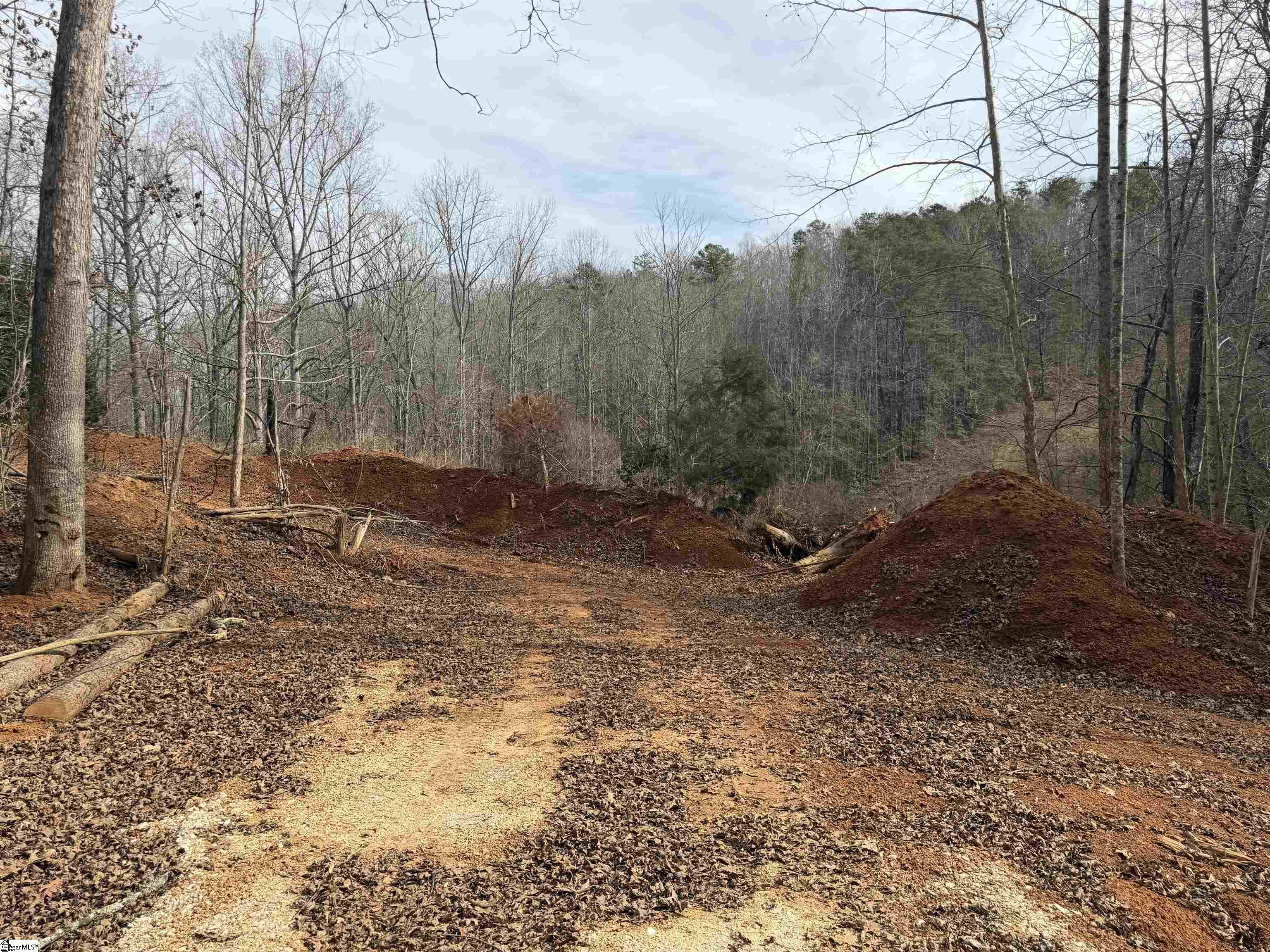 110 Sawmill Road Marietta, SC 29661