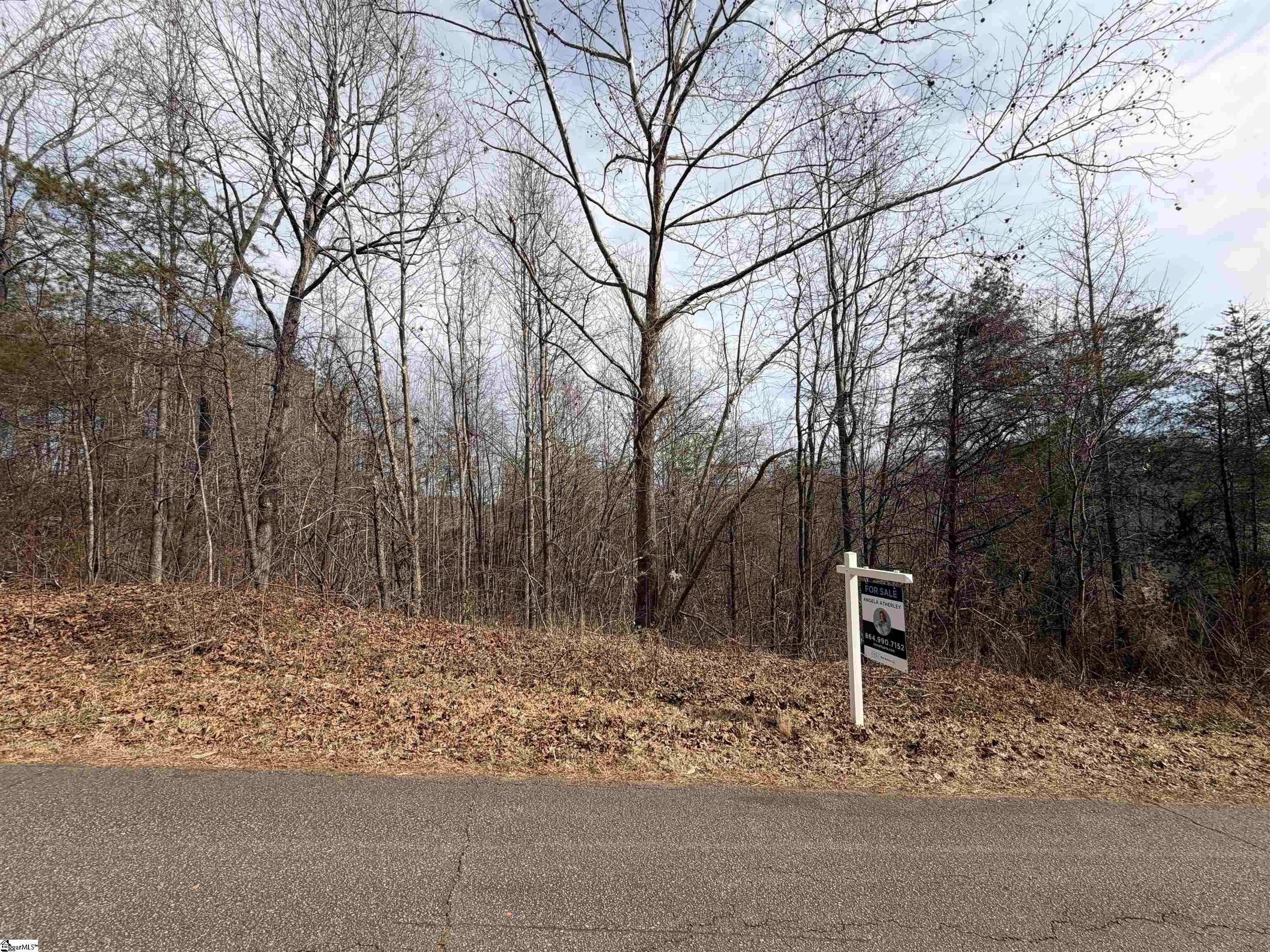 110 Sawmill Road Marietta, SC 29661