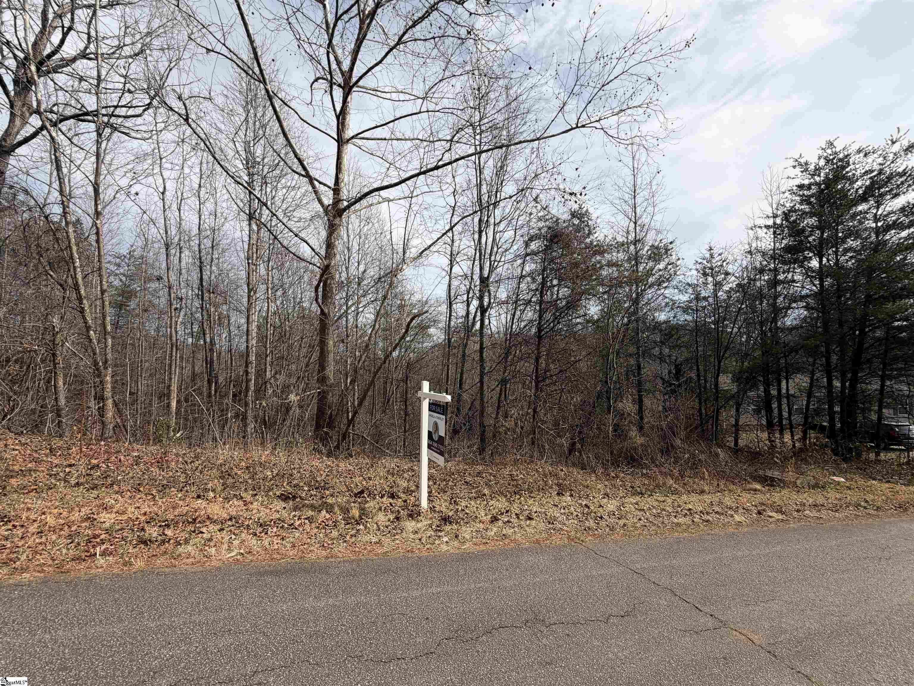 110 Sawmill Road Marietta, SC 29661