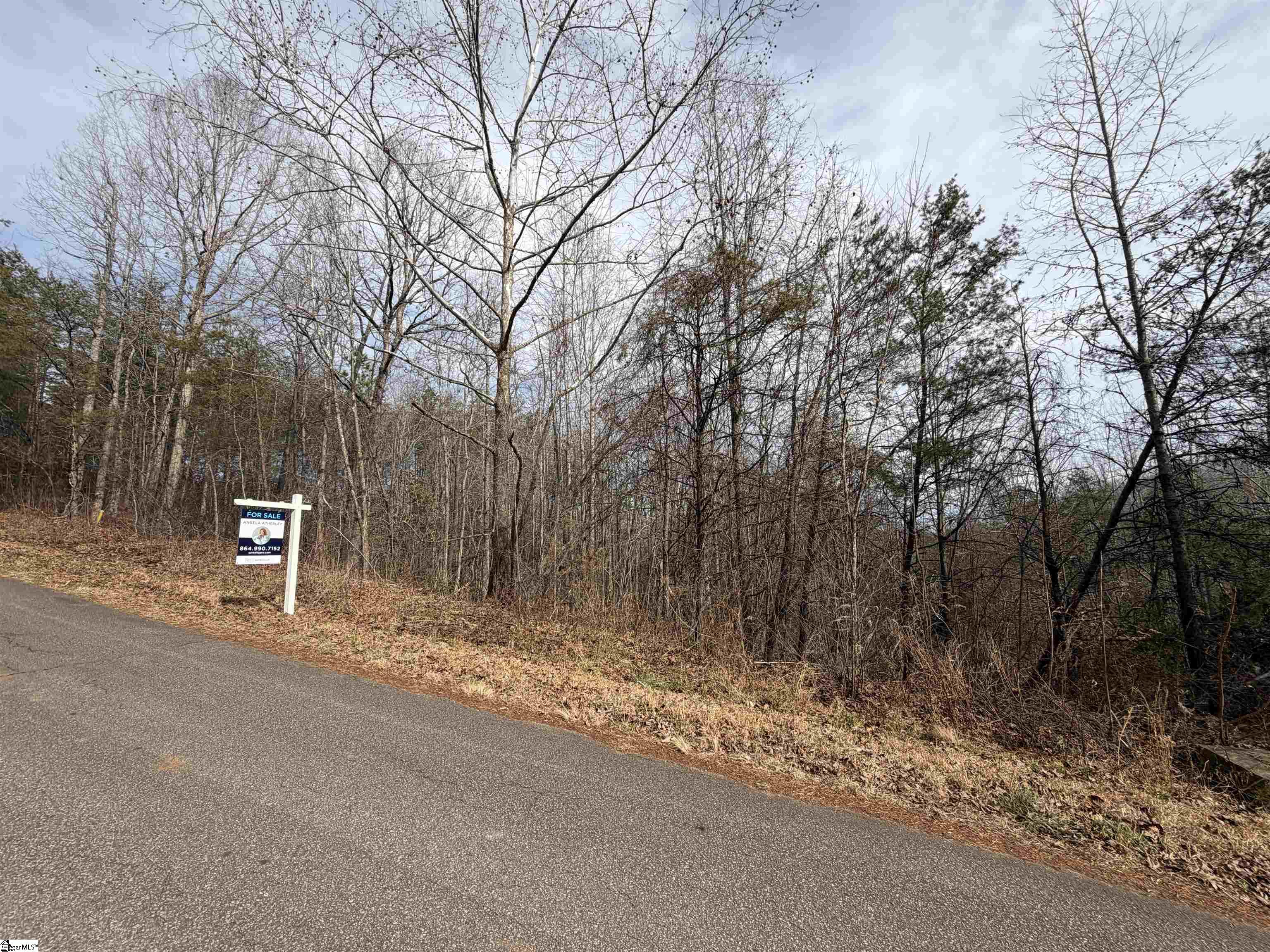 110 Sawmill Road Marietta, SC 29661