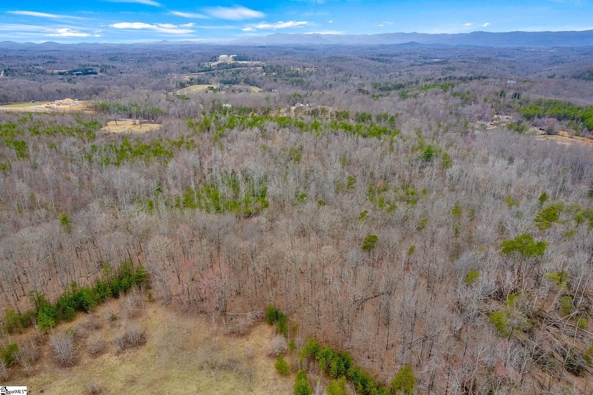0000028a Tubbs Mountain Road Travelers Rest, SC 29690
